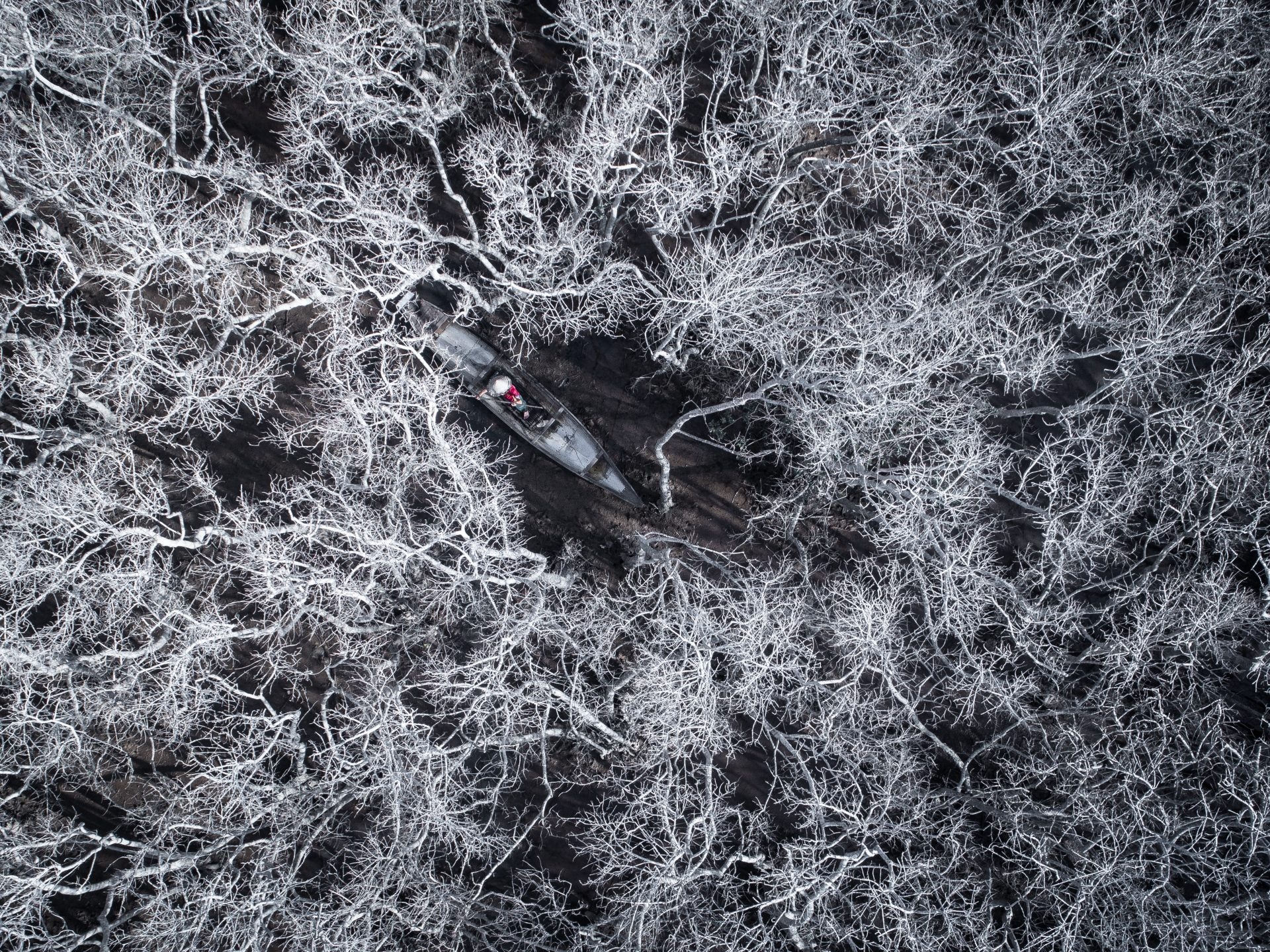 nhiep anh gia dai duong anh 4