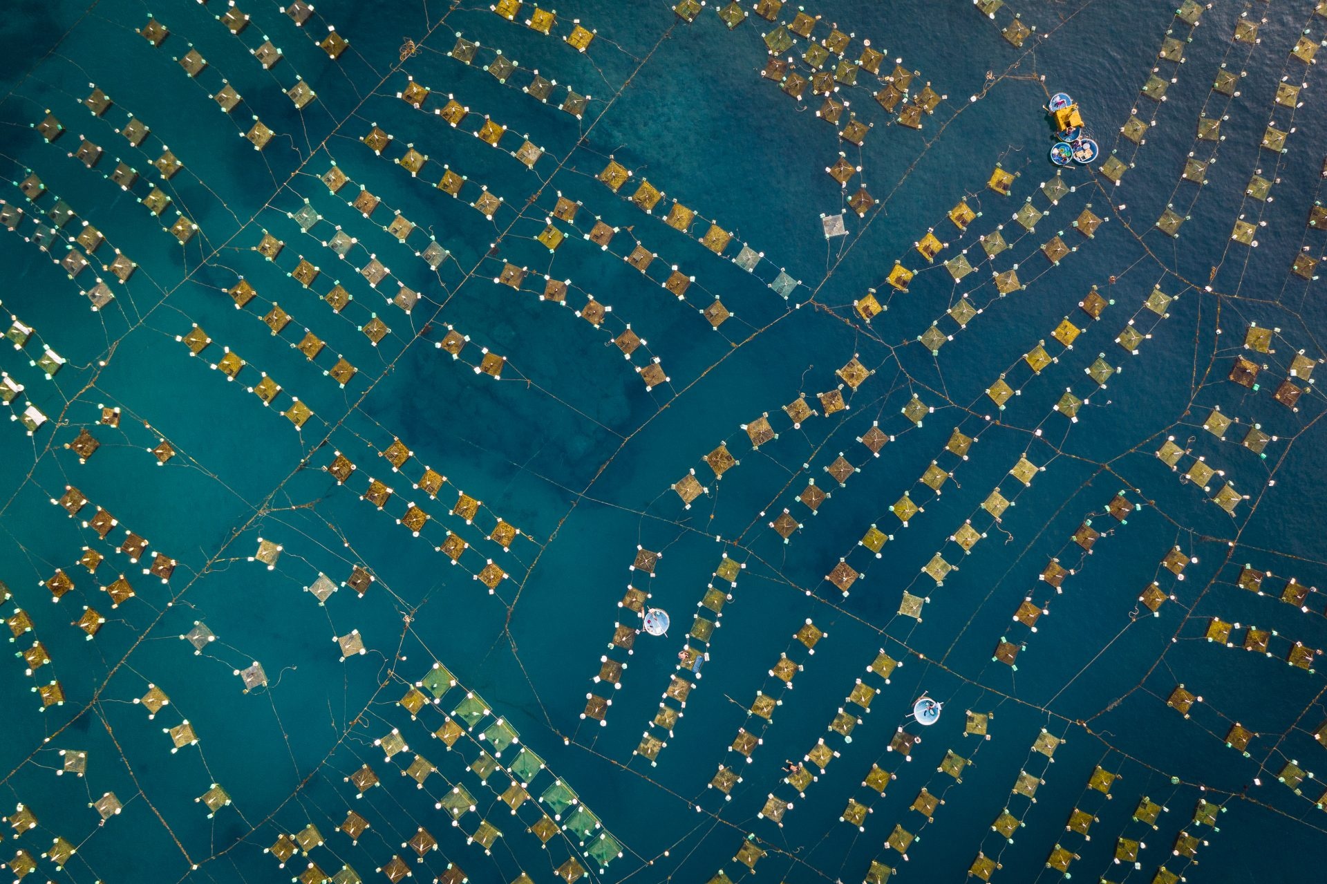 nhiep anh gia dai duong anh 3