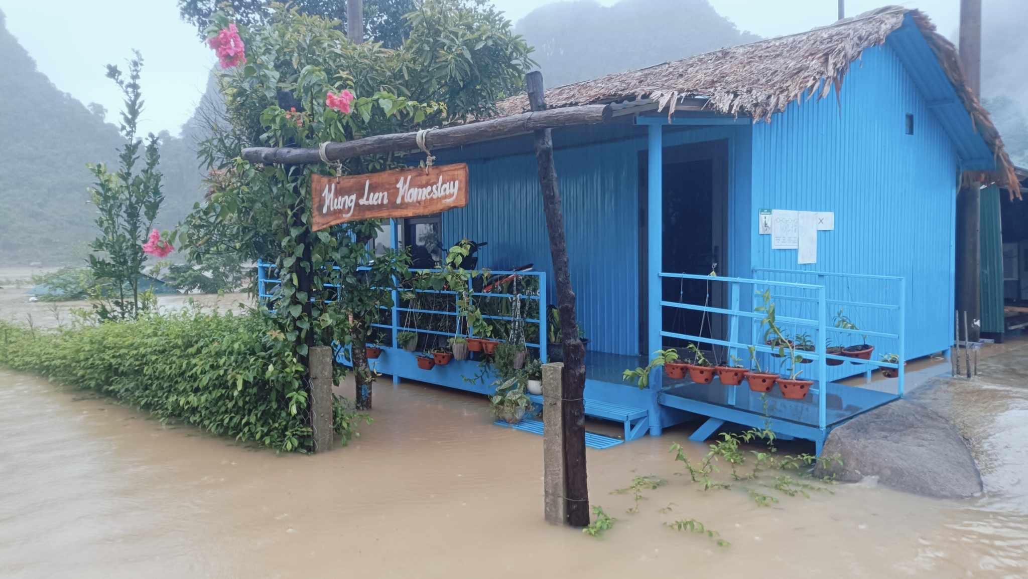 ron lu Tan Hoa anh 6