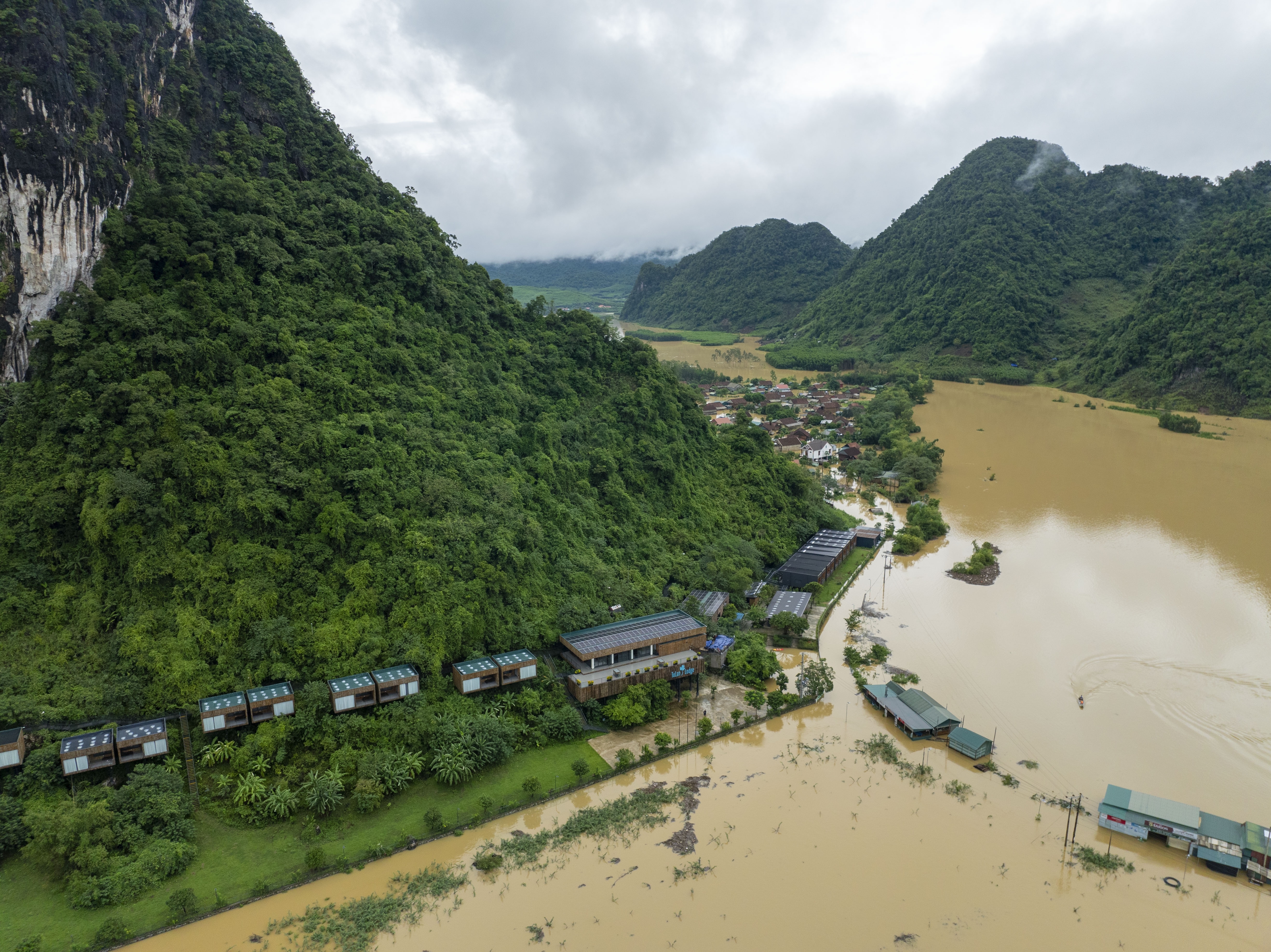 ron lu Tan Hoa anh 10