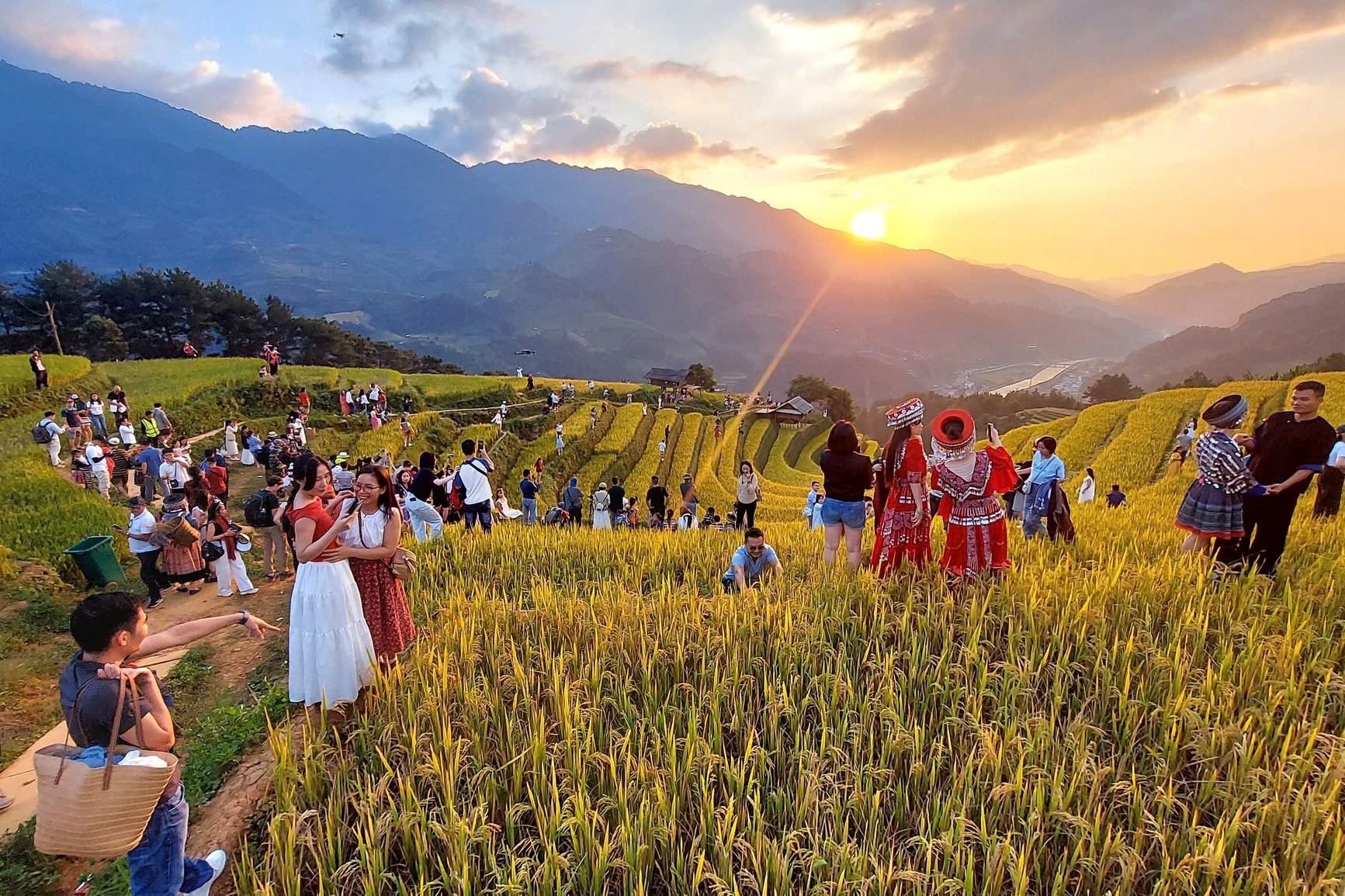 Canh trai nguoc o Mu Cang Chai va Sa Pa hinh anh