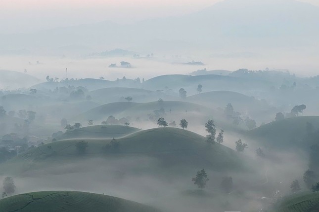 Man nhan ngam doi che 'bat up' dep ky ao tai Phu Tho hinh anh