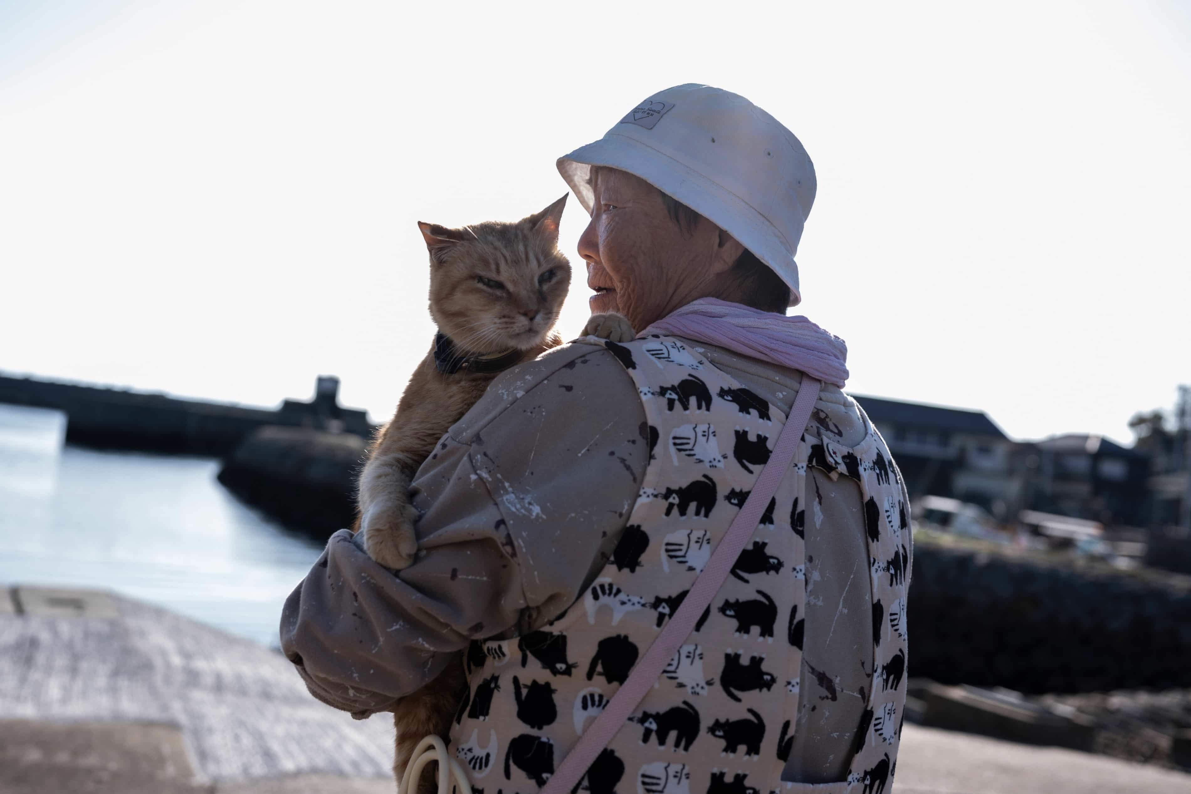 Cai ket khac cho dao meo Nhat Ban hinh anh