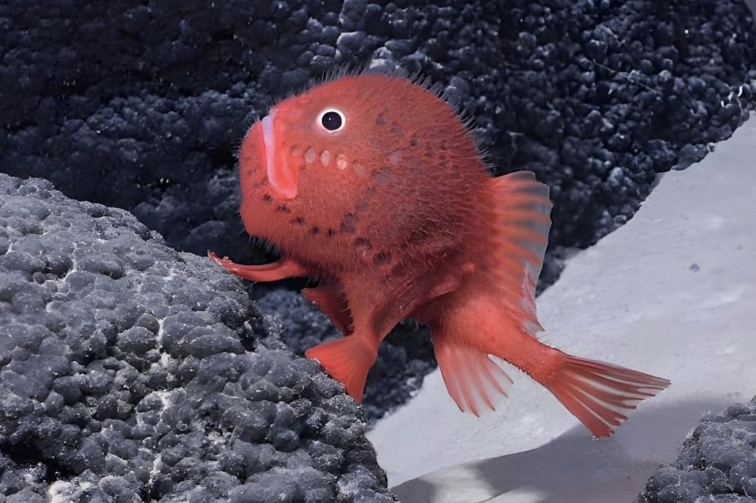 sinh vat ngoai hanh tinh anh 1