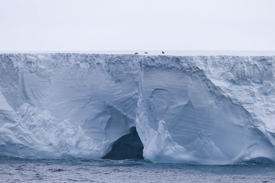 Tang bang lon nhat the gioi da xe dich hinh anh