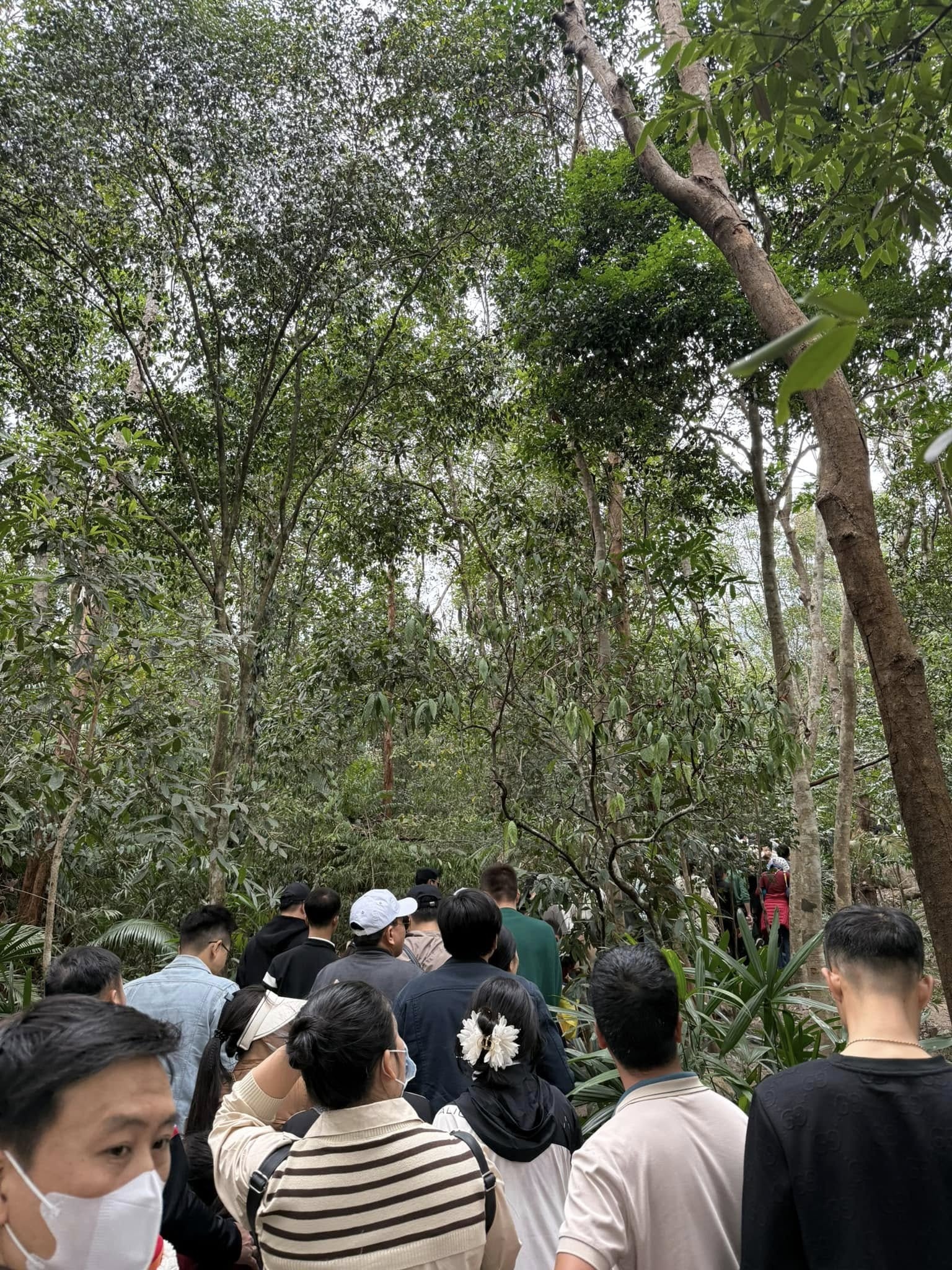 du lịch Tết Ất Tỵ ảnh 2 du lich Tet At Ty anh 2