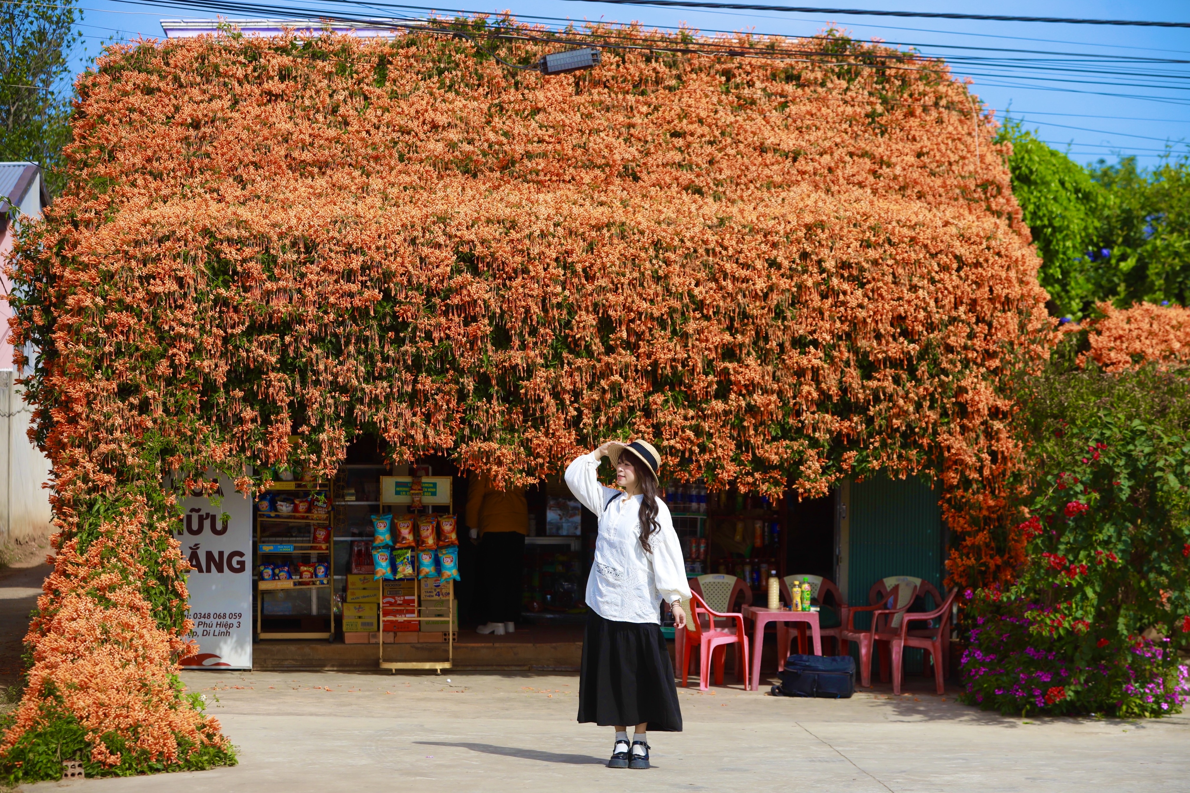 2 ngoi nha hoa xac phao 'noi nhu con' o Lam Dong hinh anh