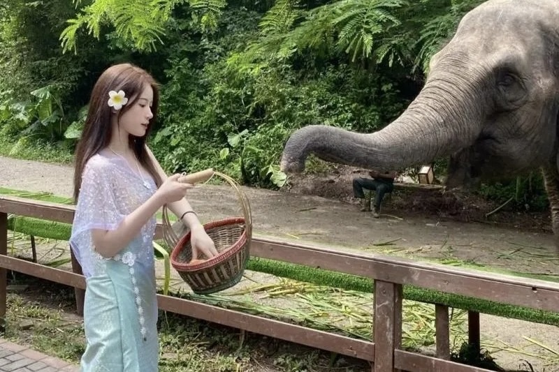 Nhom khach ASEAN dau tien den Tay Song Ban Nap khong can thi thuc hinh anh