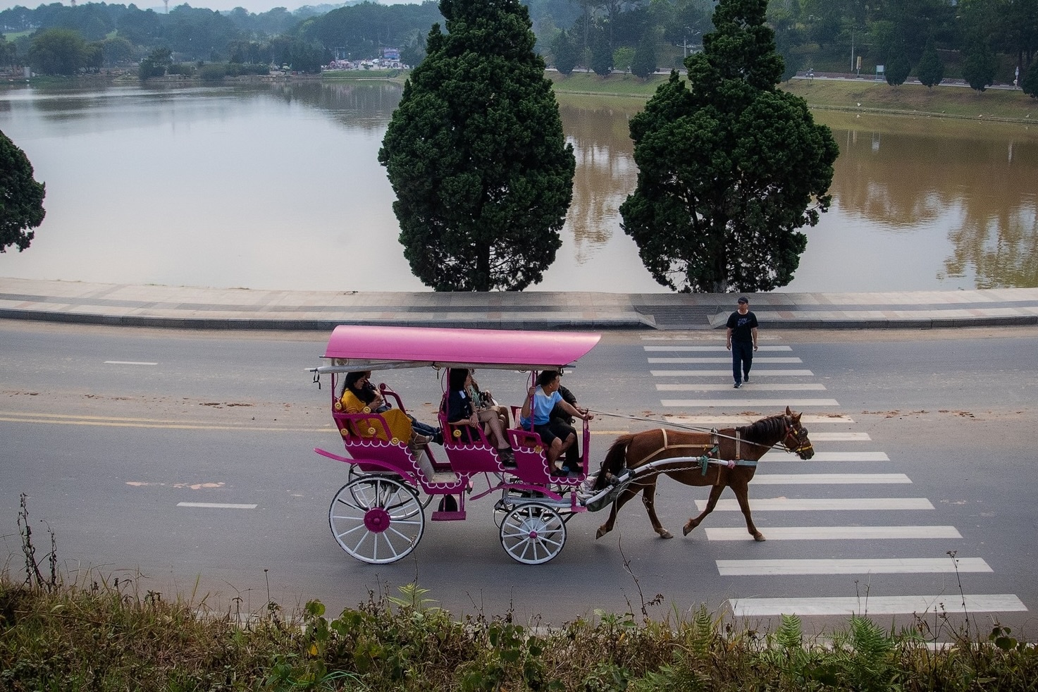 Da Lat bat ngo gia han ngay cam xe ngua chay quanh ho Xuan Huong hinh anh