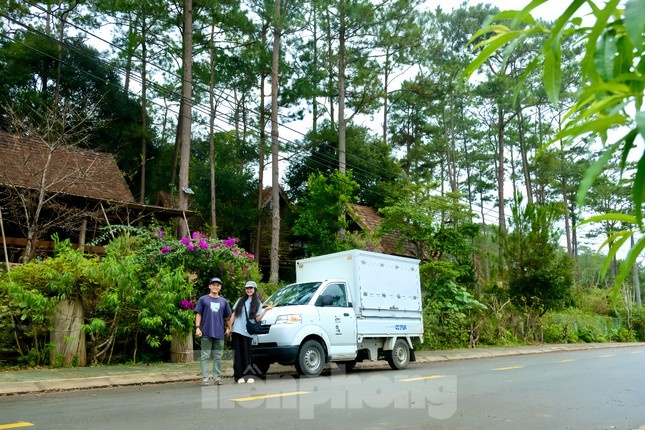 xe tai du lich anh 10