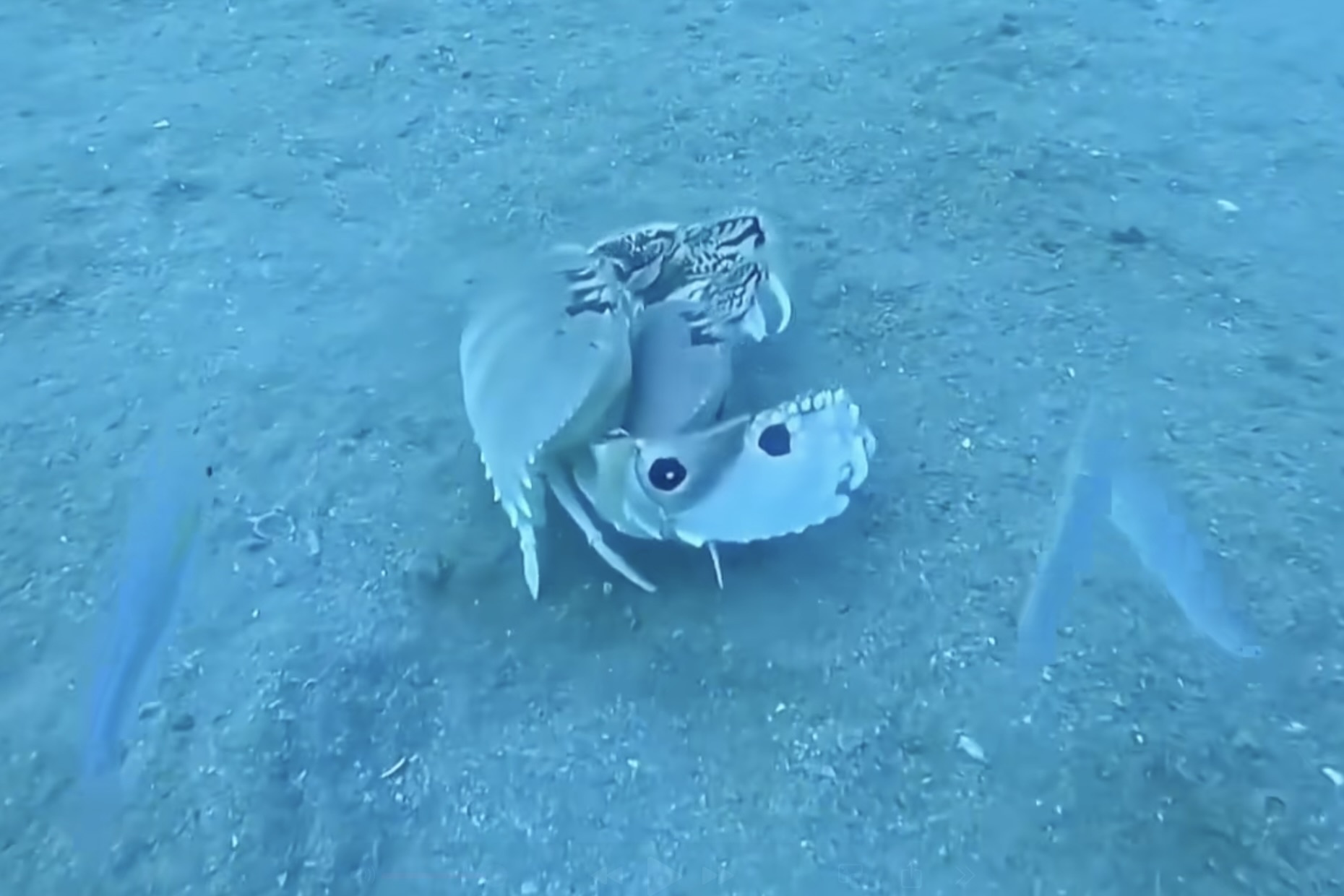 Canh khum num be vo gay cuoi hinh anh