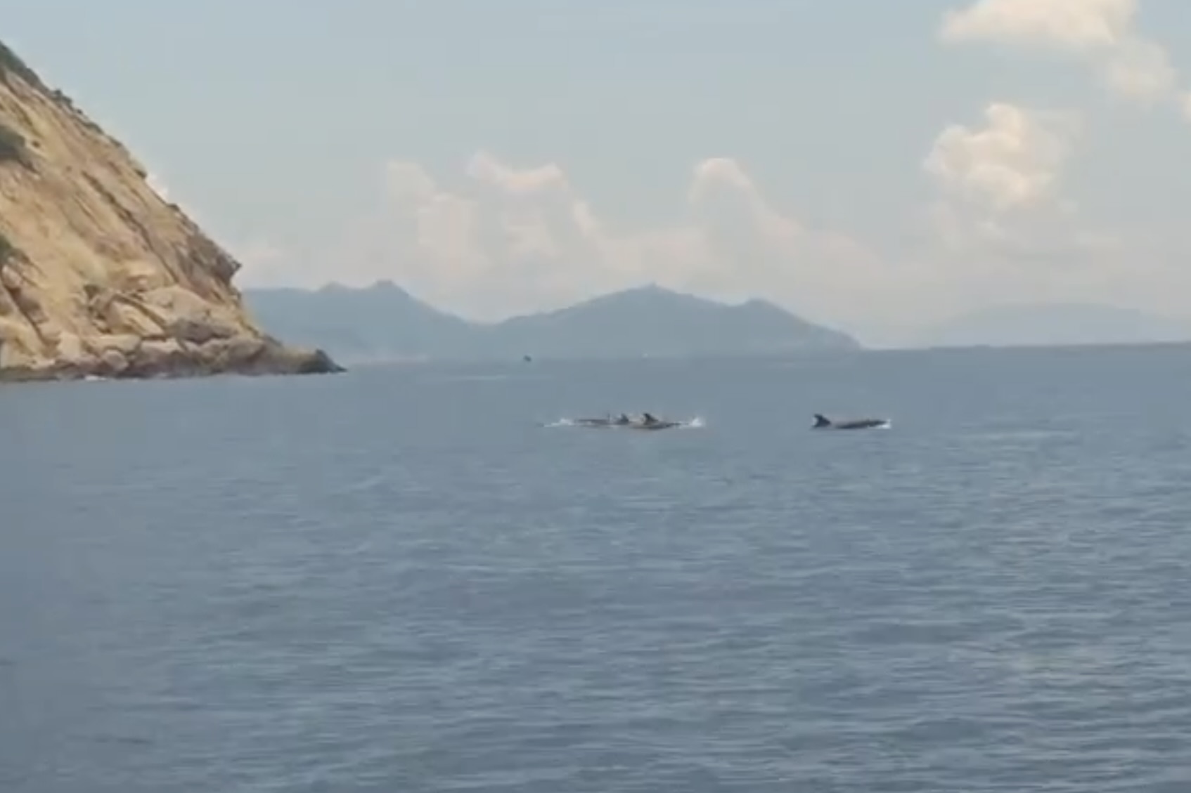 Canh hang chuc ca heo di cu o Nha Trang hinh anh