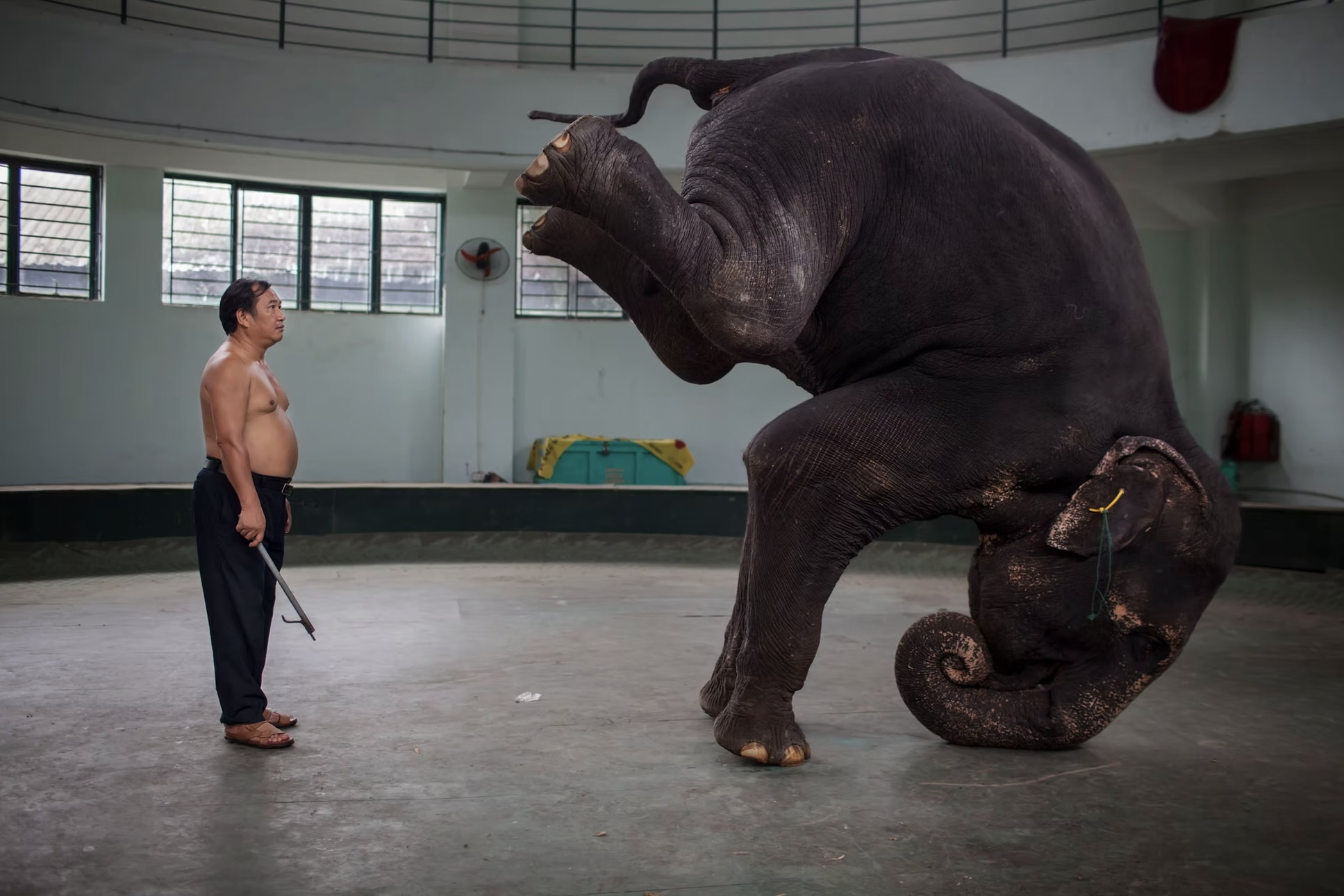 Dang sau bo anh xiec Viet Nam tu nam 2009 hinh anh