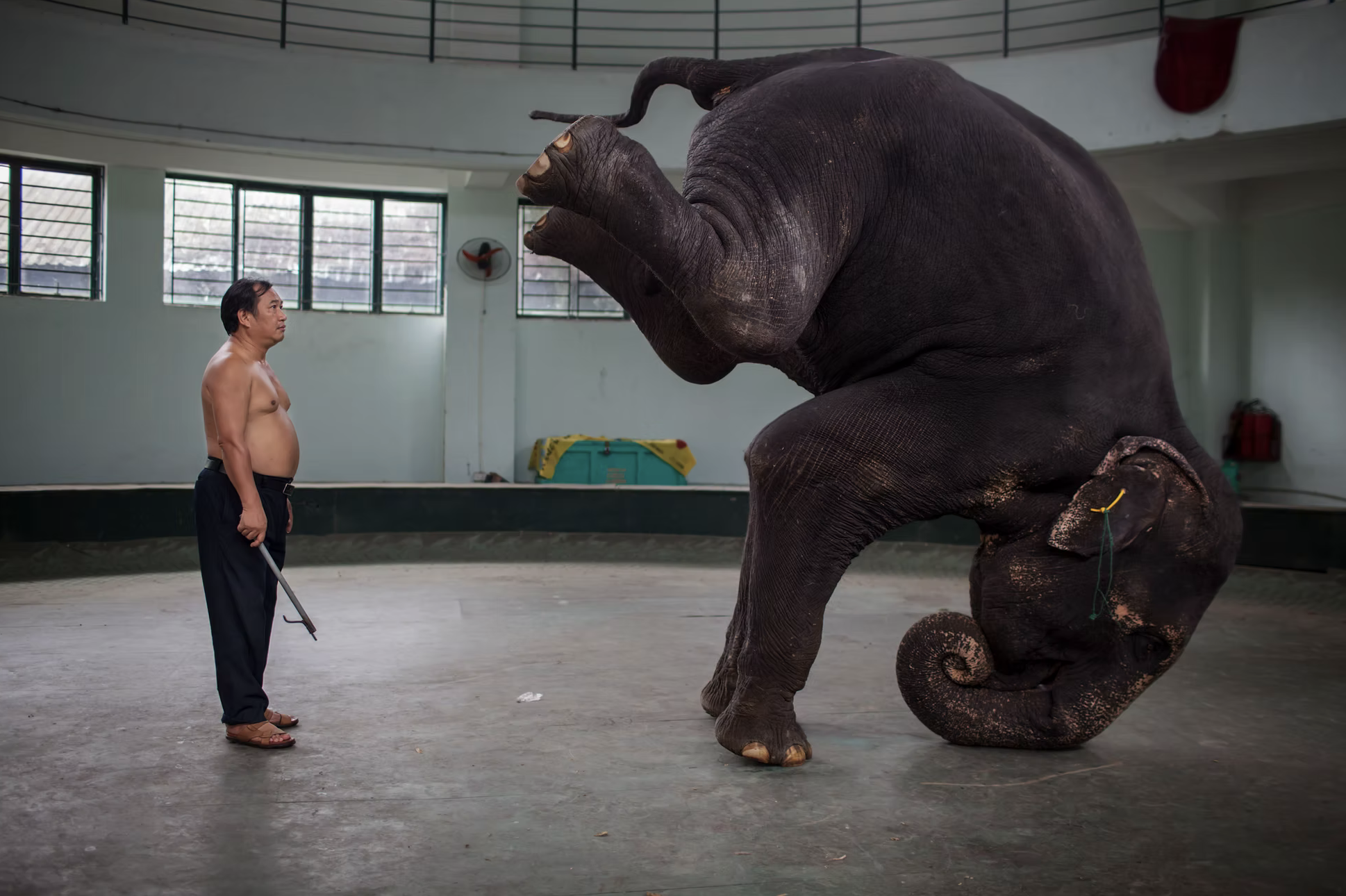 hao quang ganh xiec Viet anh 13