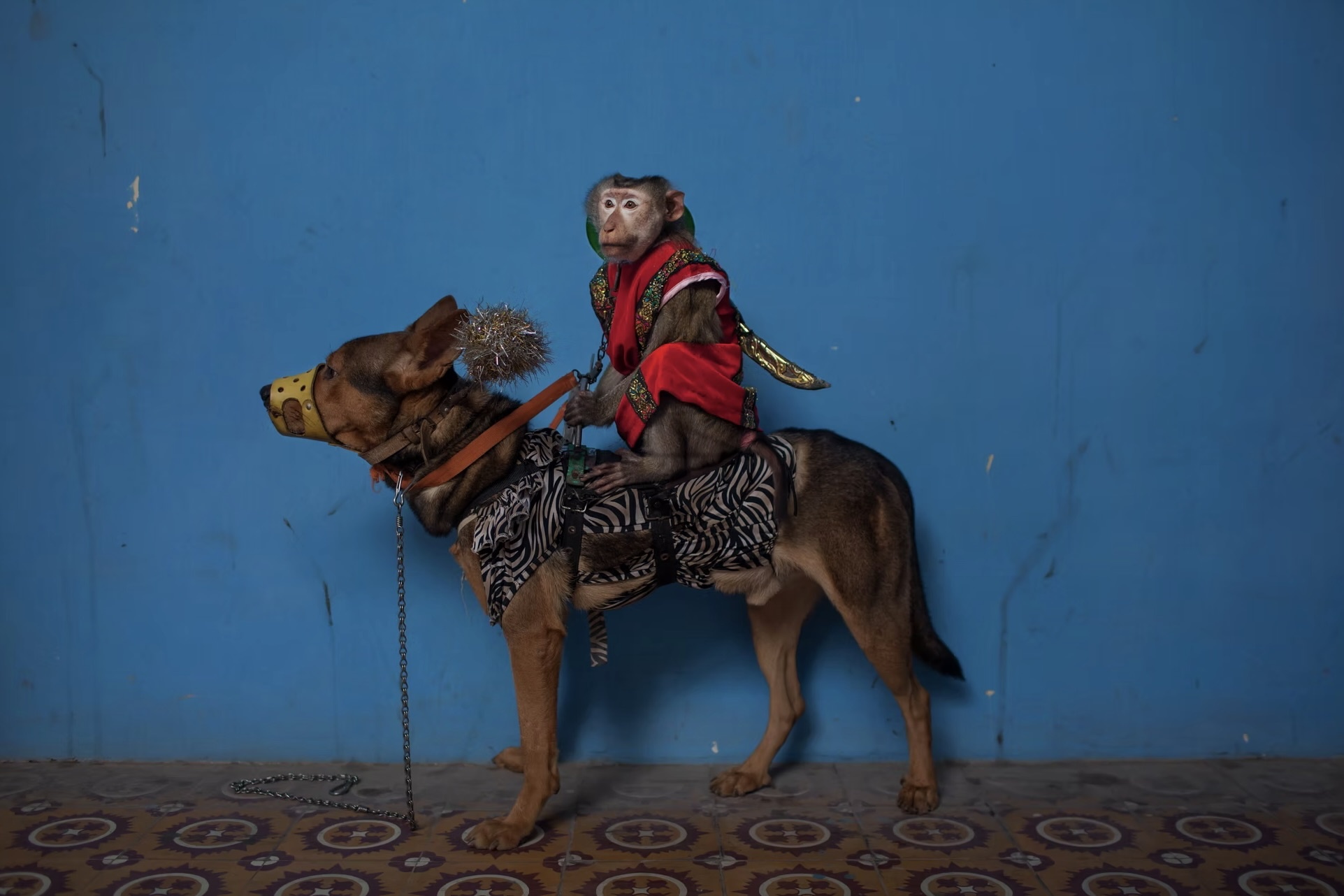 hao quang ganh xiec Viet anh 6