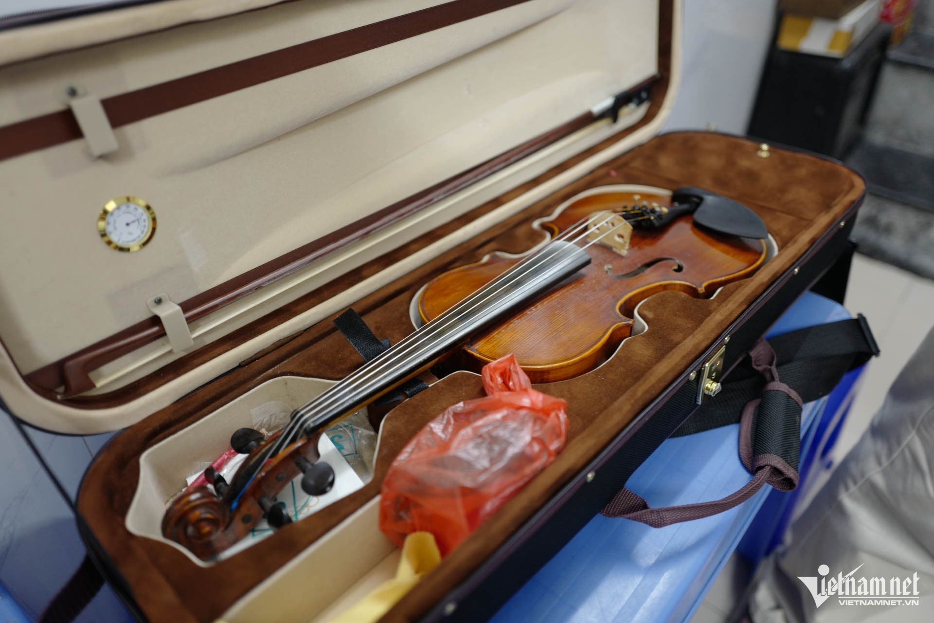 oc violin Ha Noi anh 7