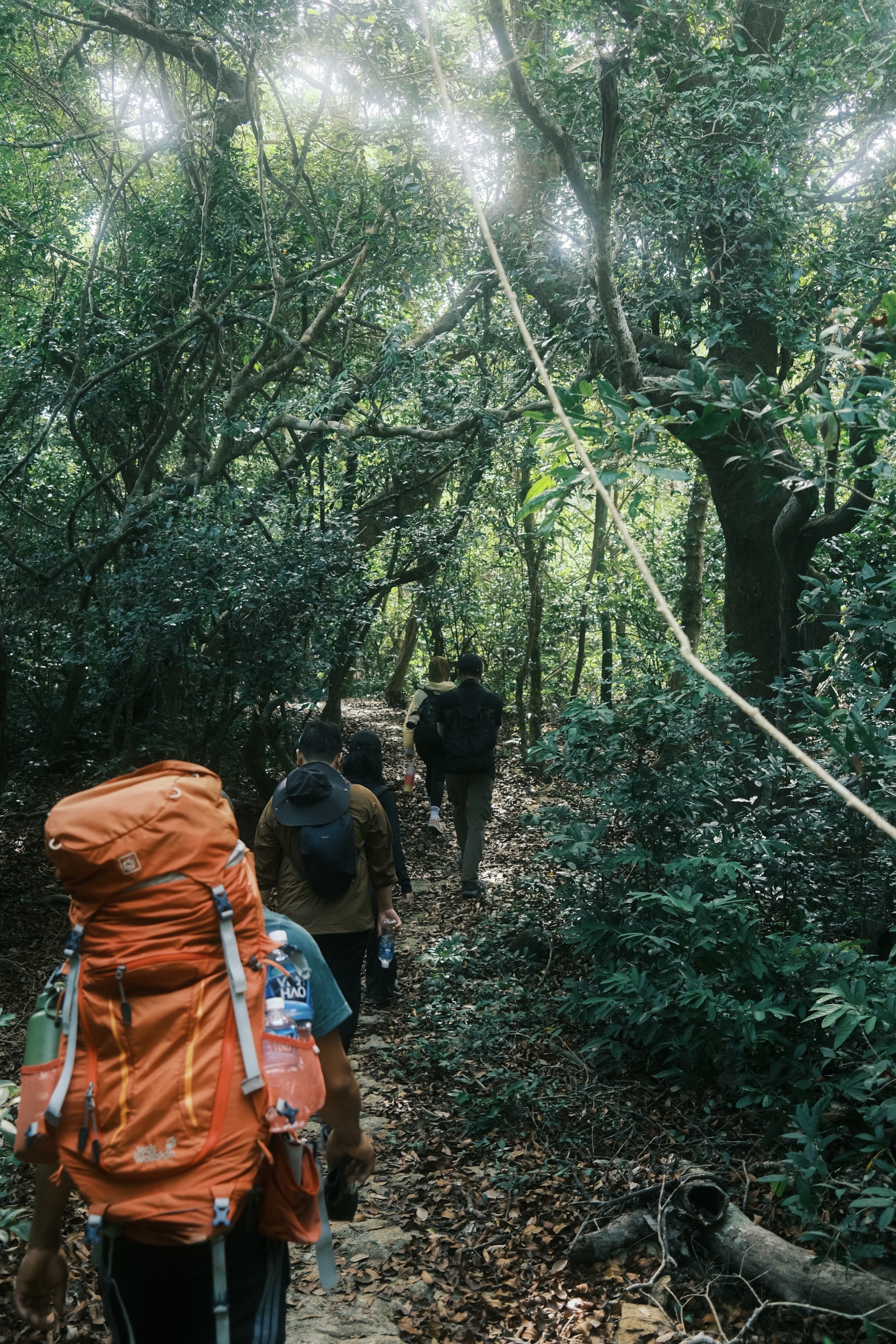 trekking 8 nang tien anh 13