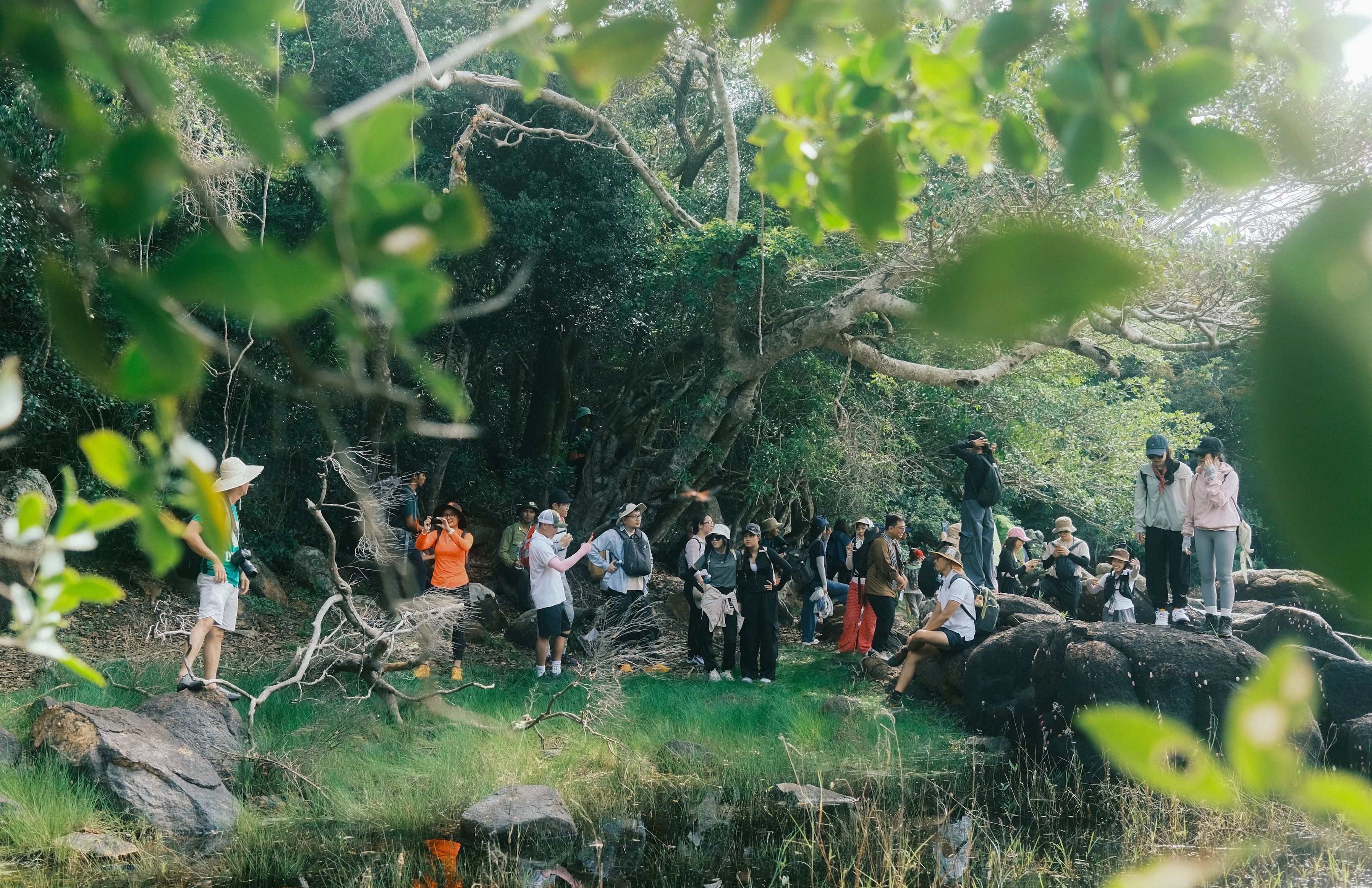trekking 8 nang tien anh 20