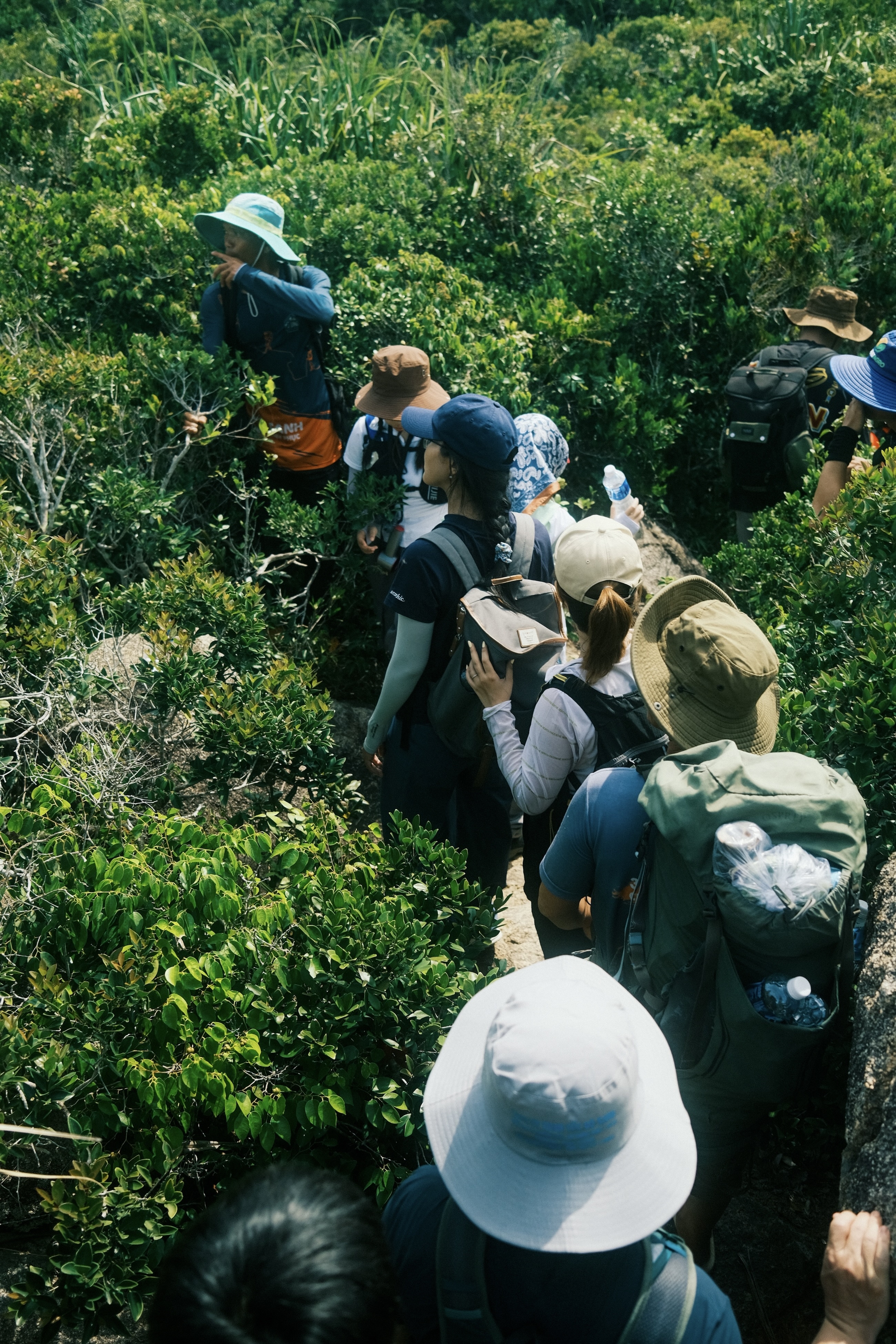 trekking 8 nang tien anh 7