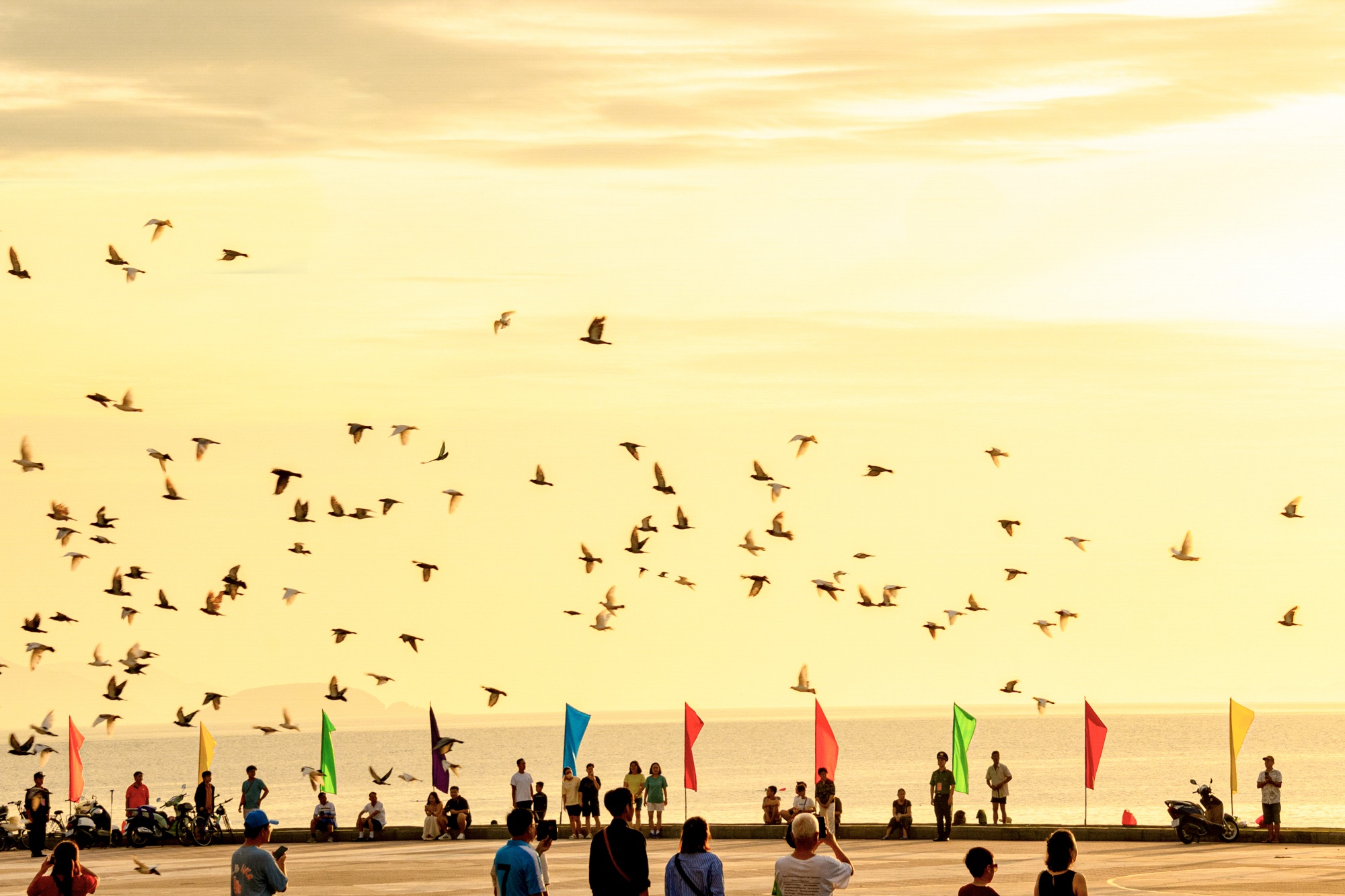 le chao co nha trang anh 4