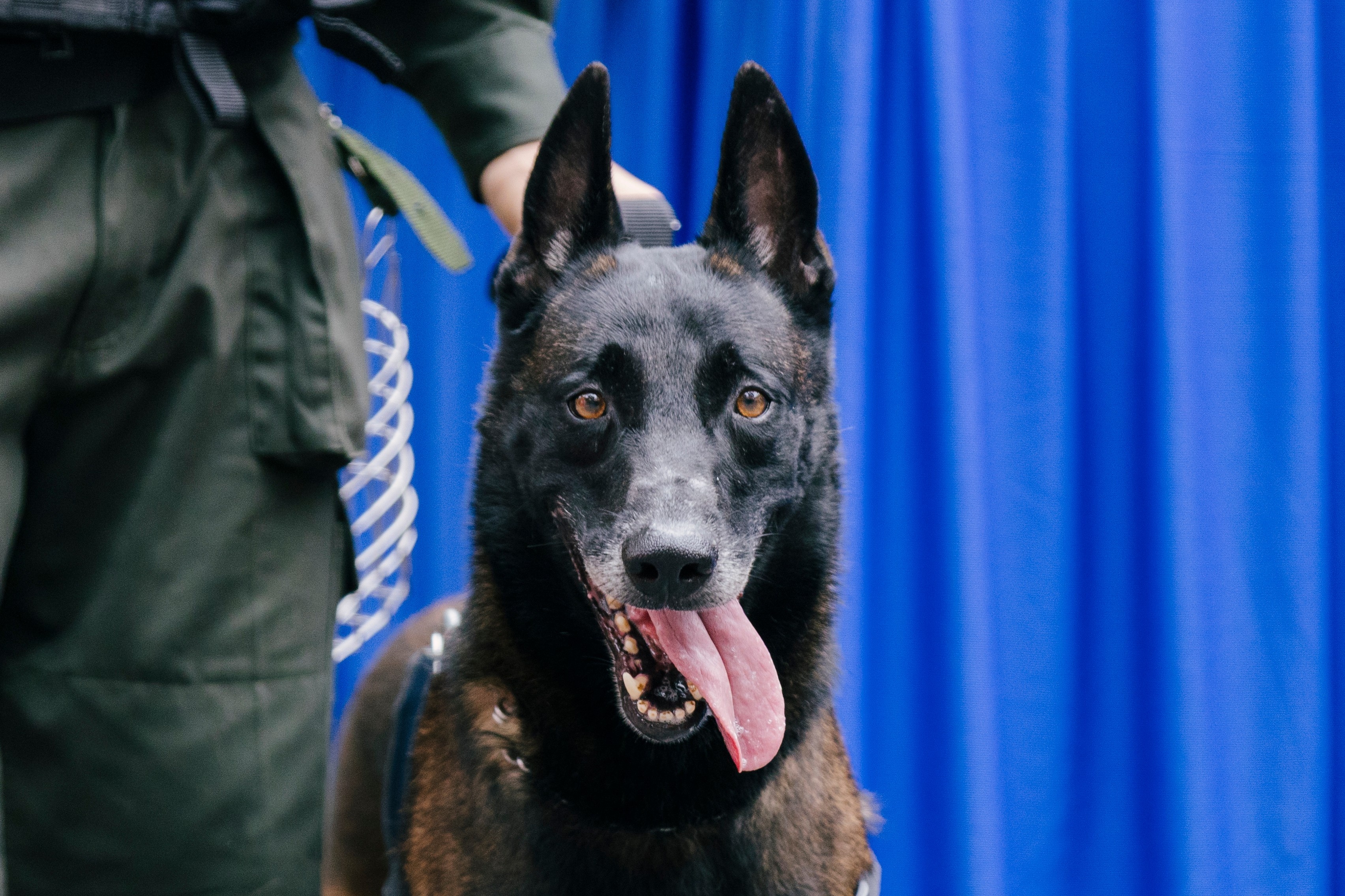 Canh khuyen lam nhiem vu tai buoi so duyet dieu binh hinh anh