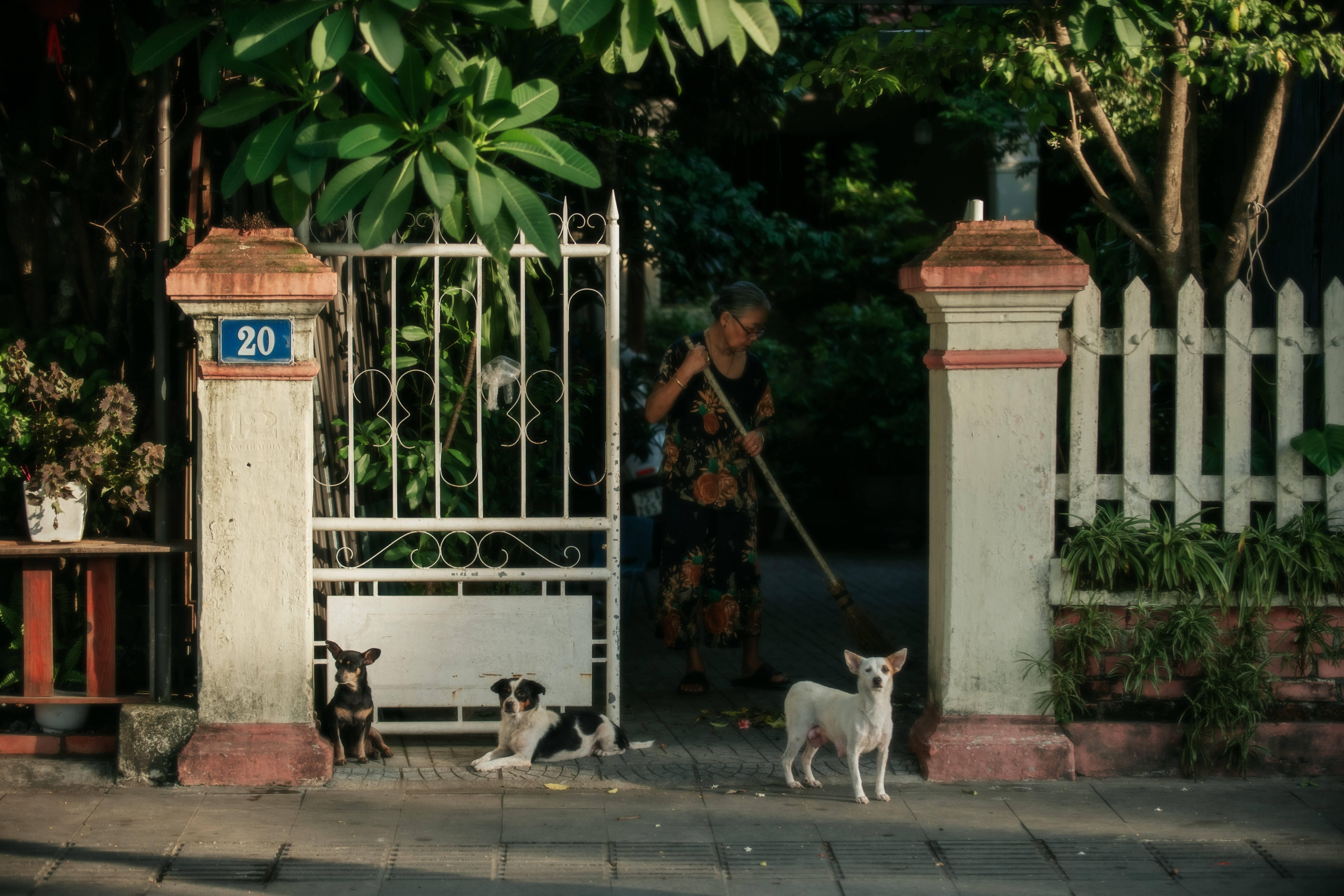 mua thu xu Hue anh 27