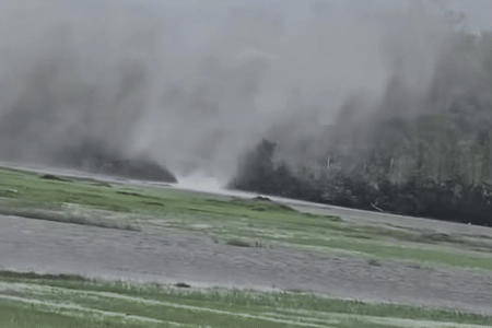 Voi rong bat ngo xuat hien o Vung Ang hinh anh