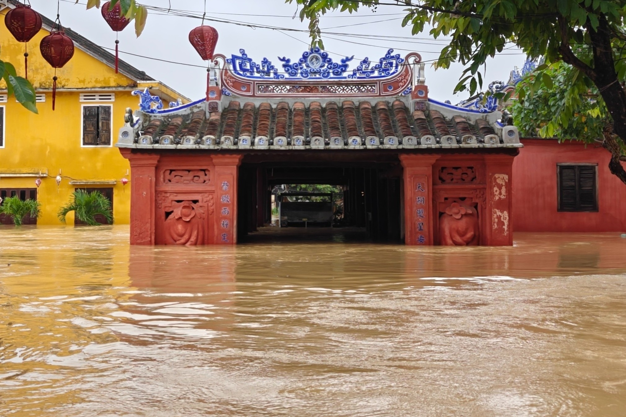 Da Nang mua trang troi, Hue, Hoi An van chim trong bien ngap hinh anh