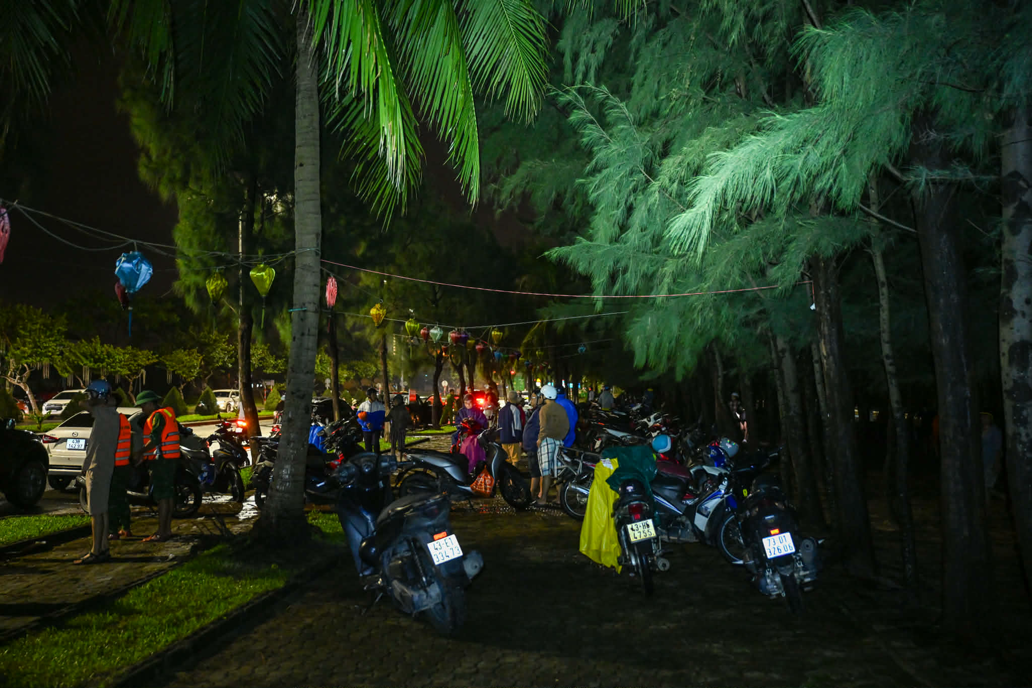 xac ca voi da nang anh 5