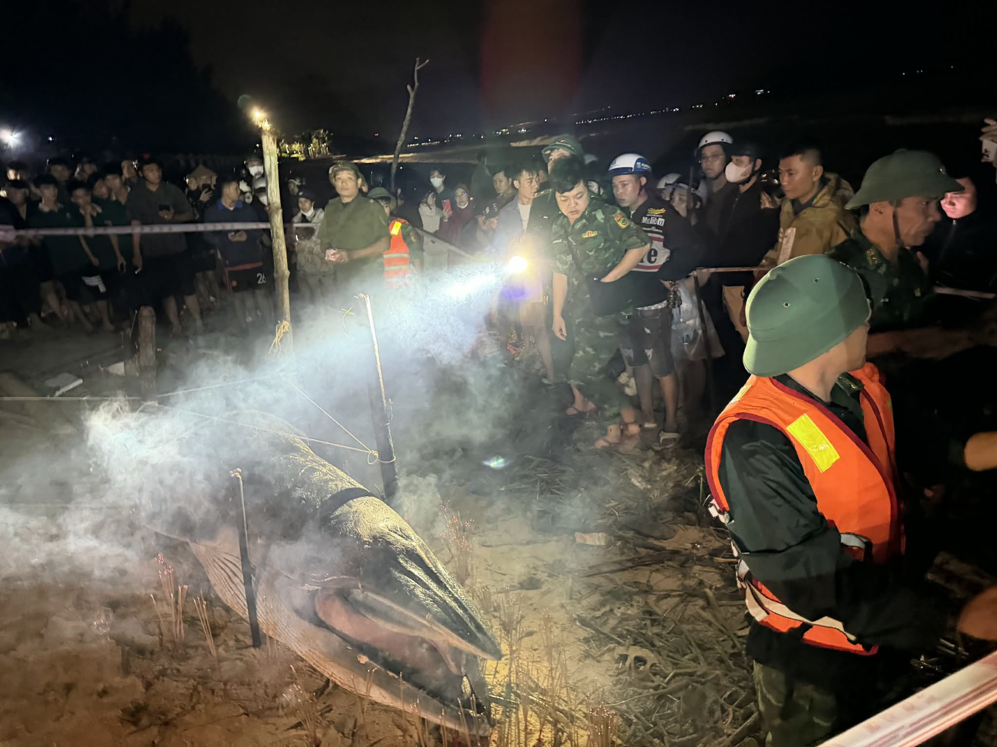 xac ca voi da nang anh 2