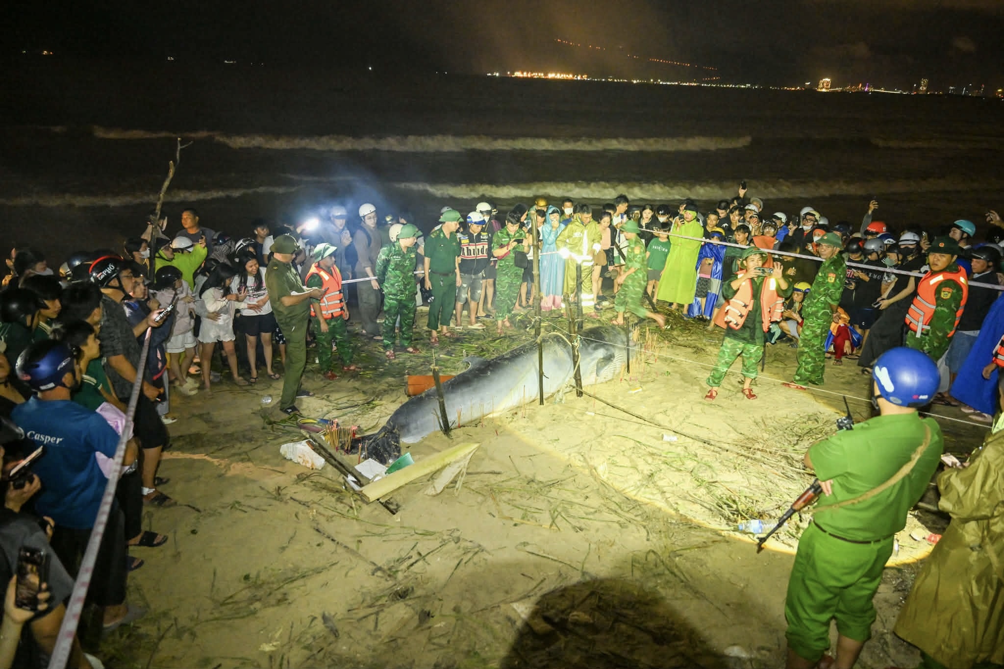 xac ca voi da nang anh 4