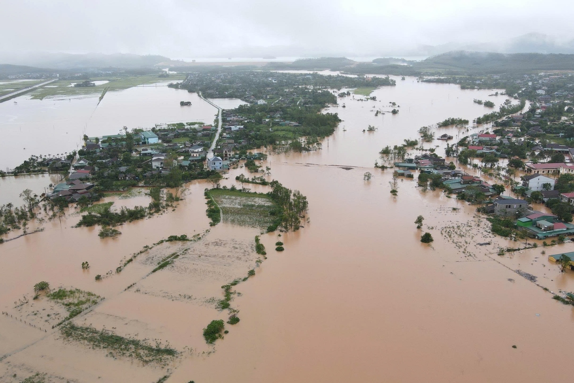 mua lon o hue anh 11