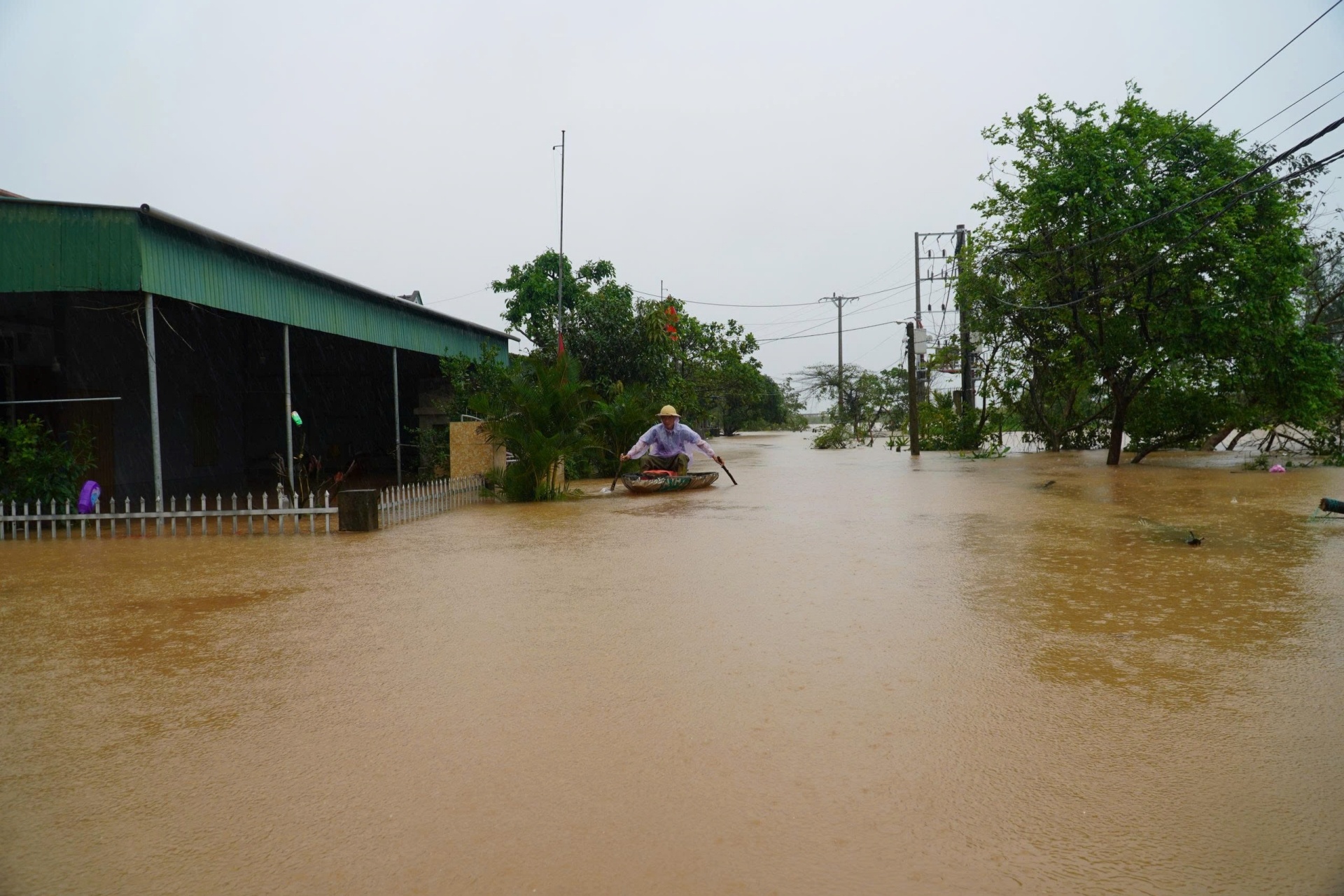 mua lon o hue anh 12