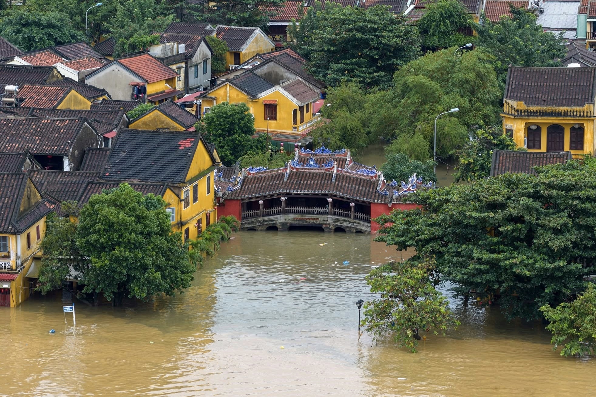 lu chong lu hue anh 2
