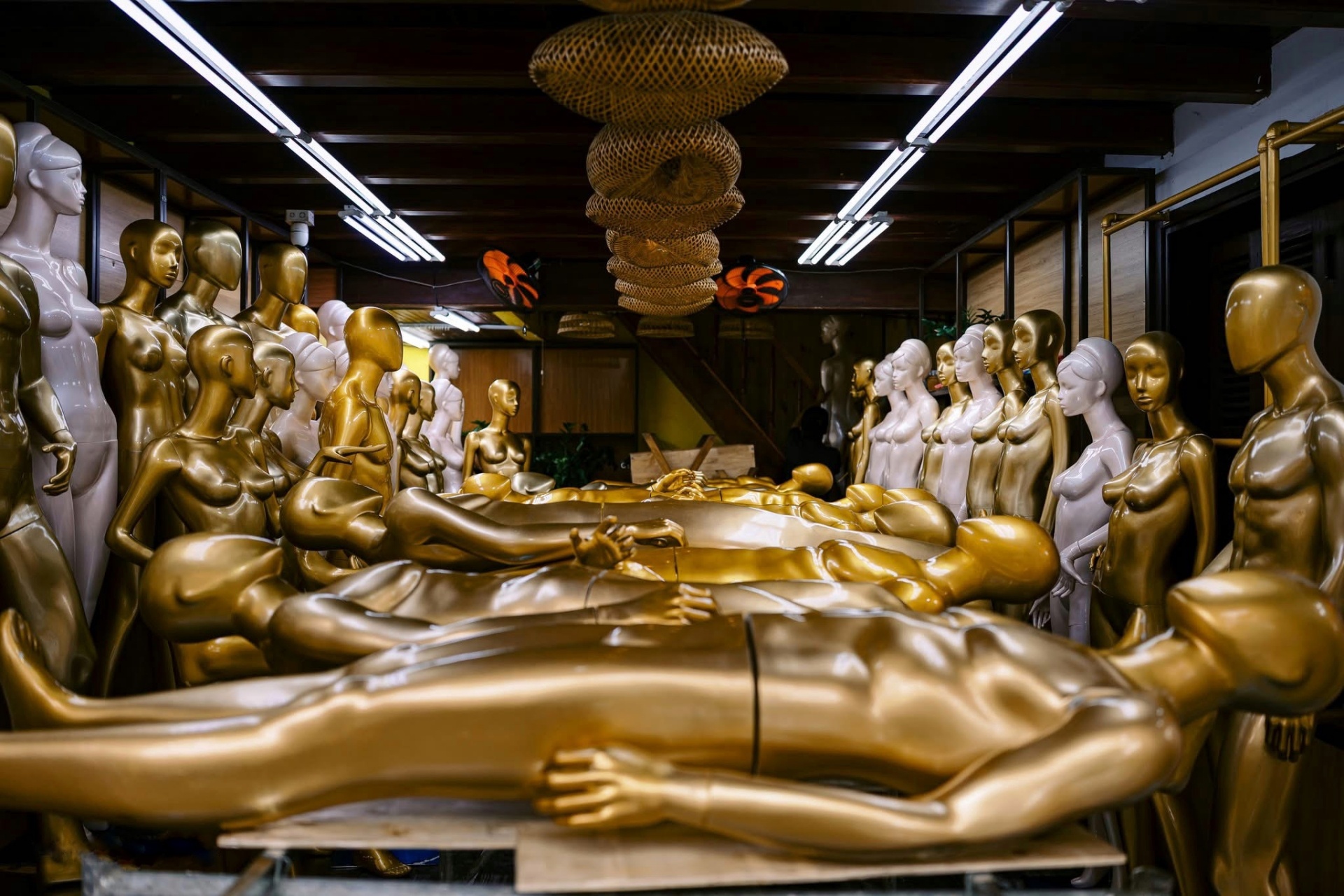 lu chong lu hue anh 6