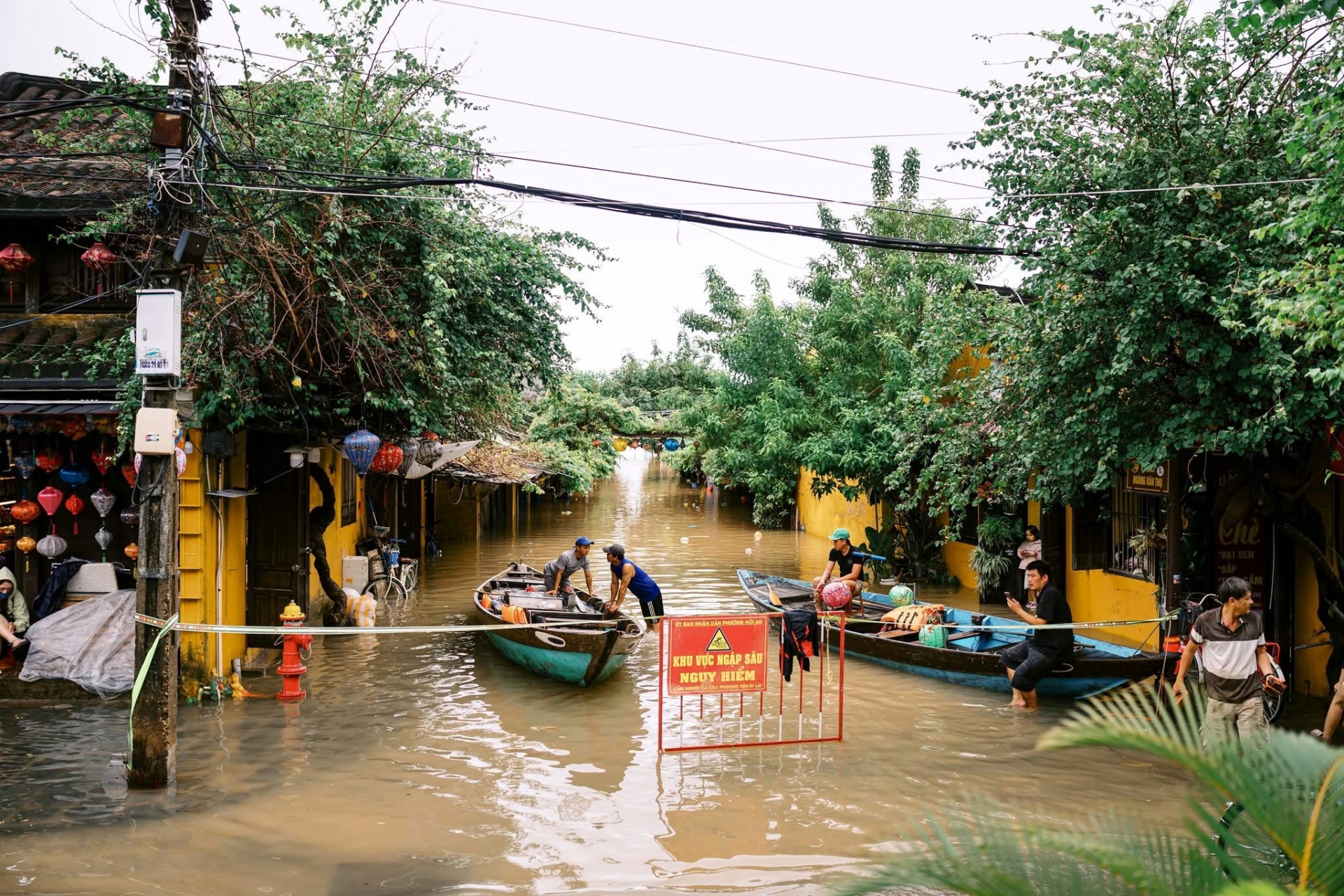 lu chong lu hue anh 7