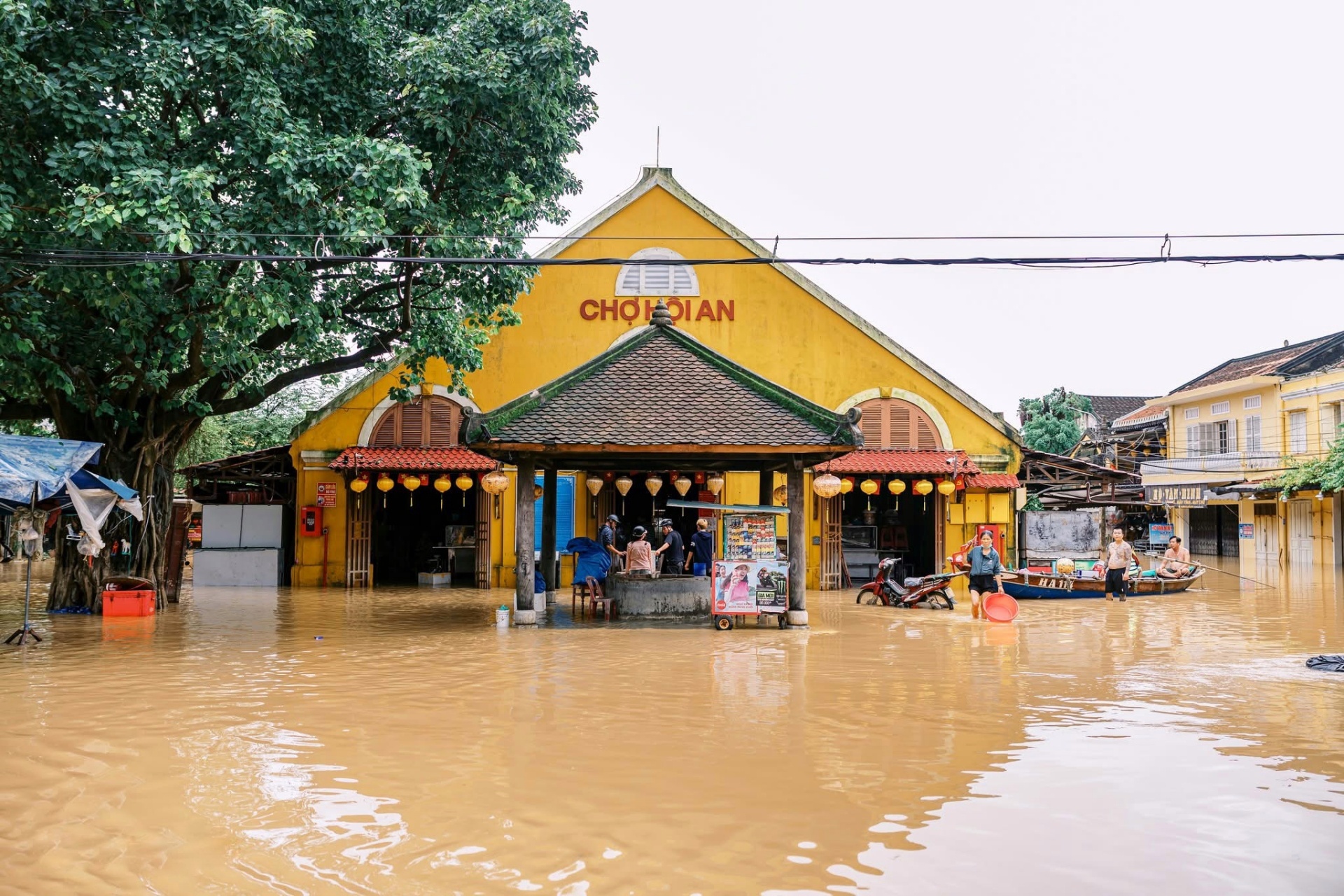 lu chong lu hue anh 4