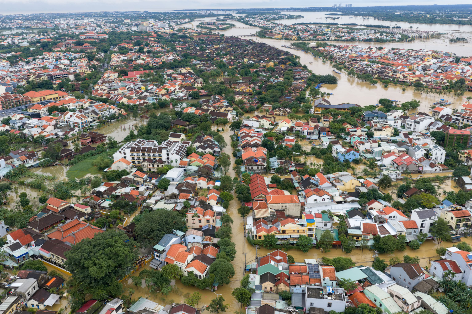 lu chong lu hue anh 1