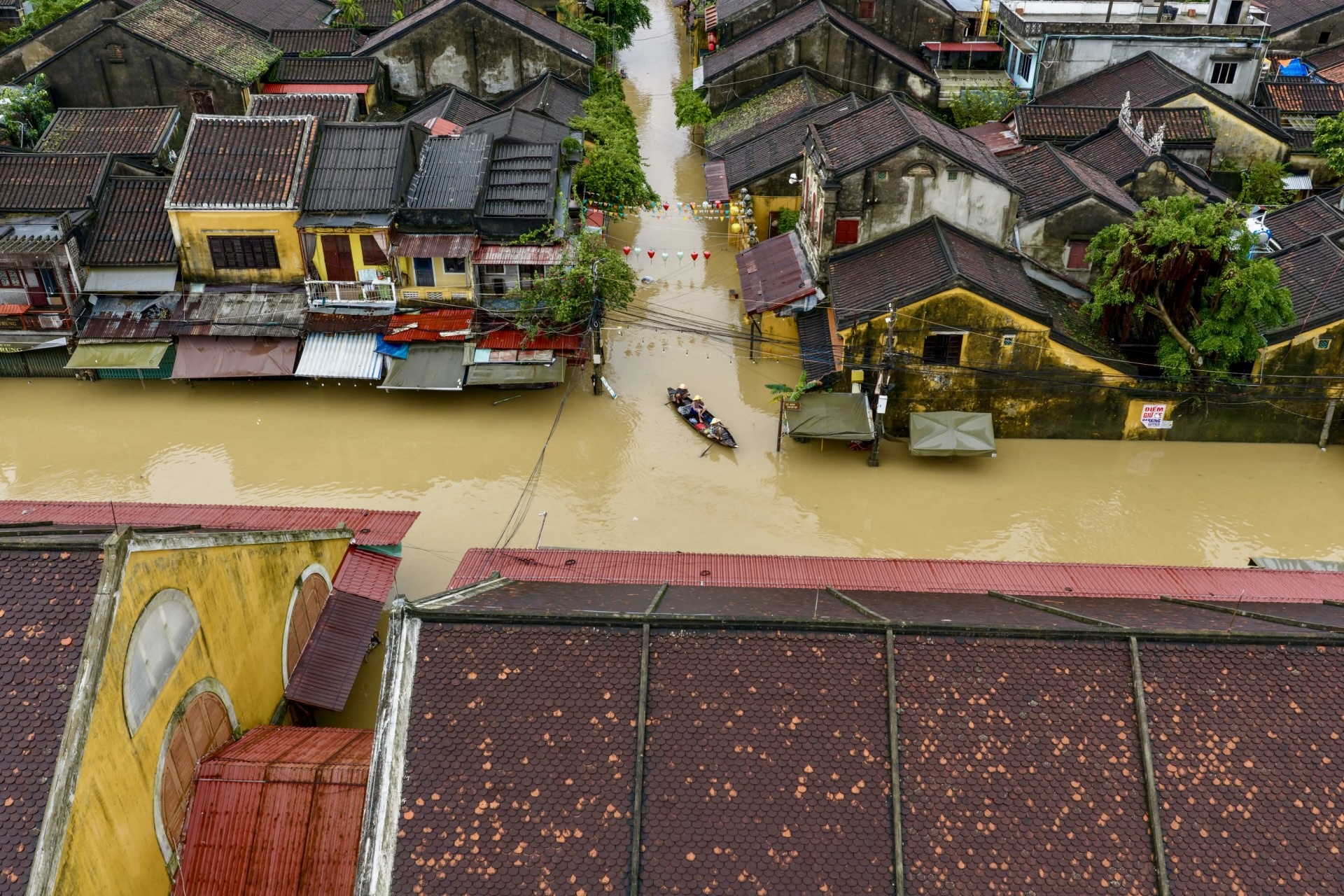 lu chong lu hue anh 3