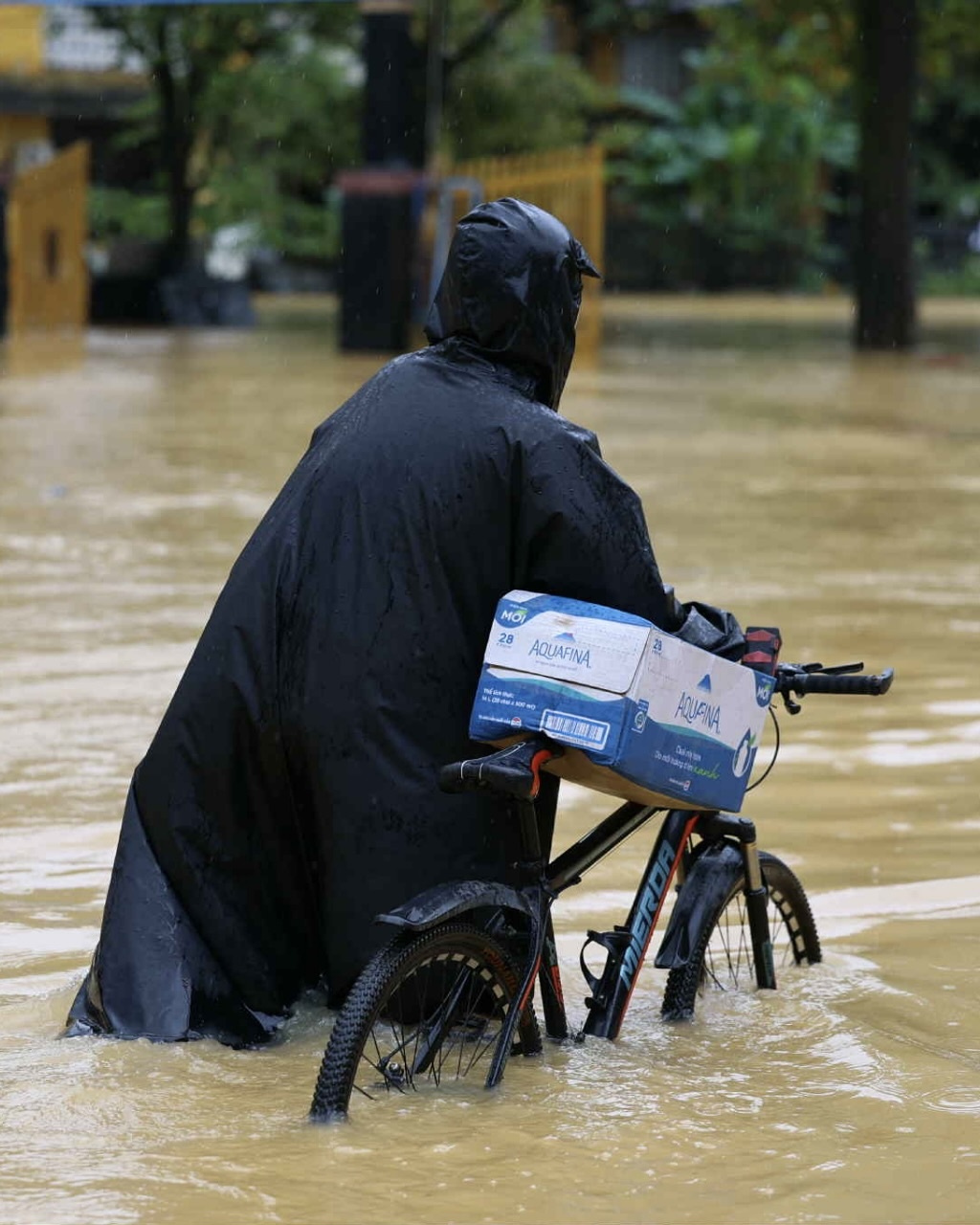 lu chong lu hue anh 12