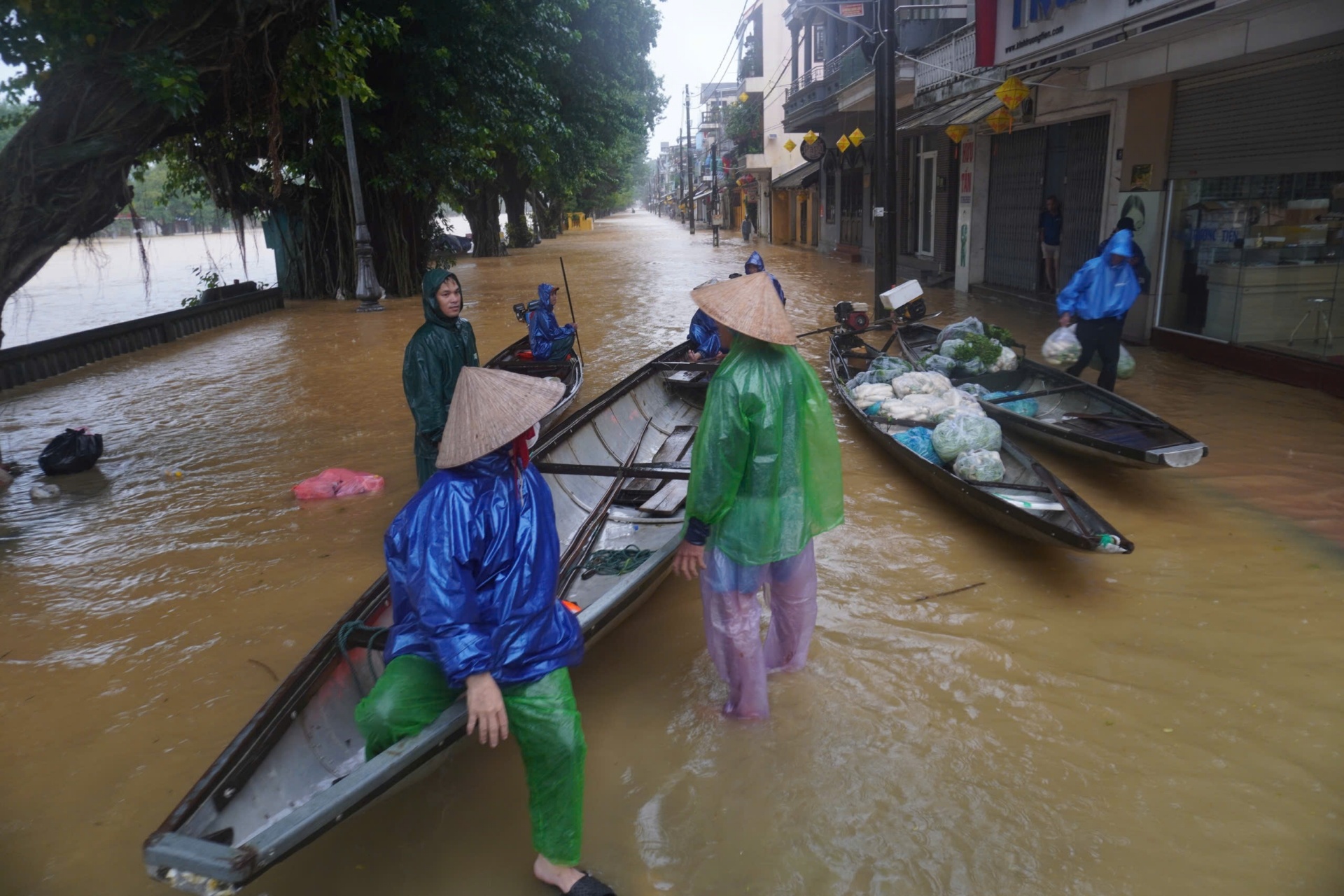 lu chong lu hue anh 9