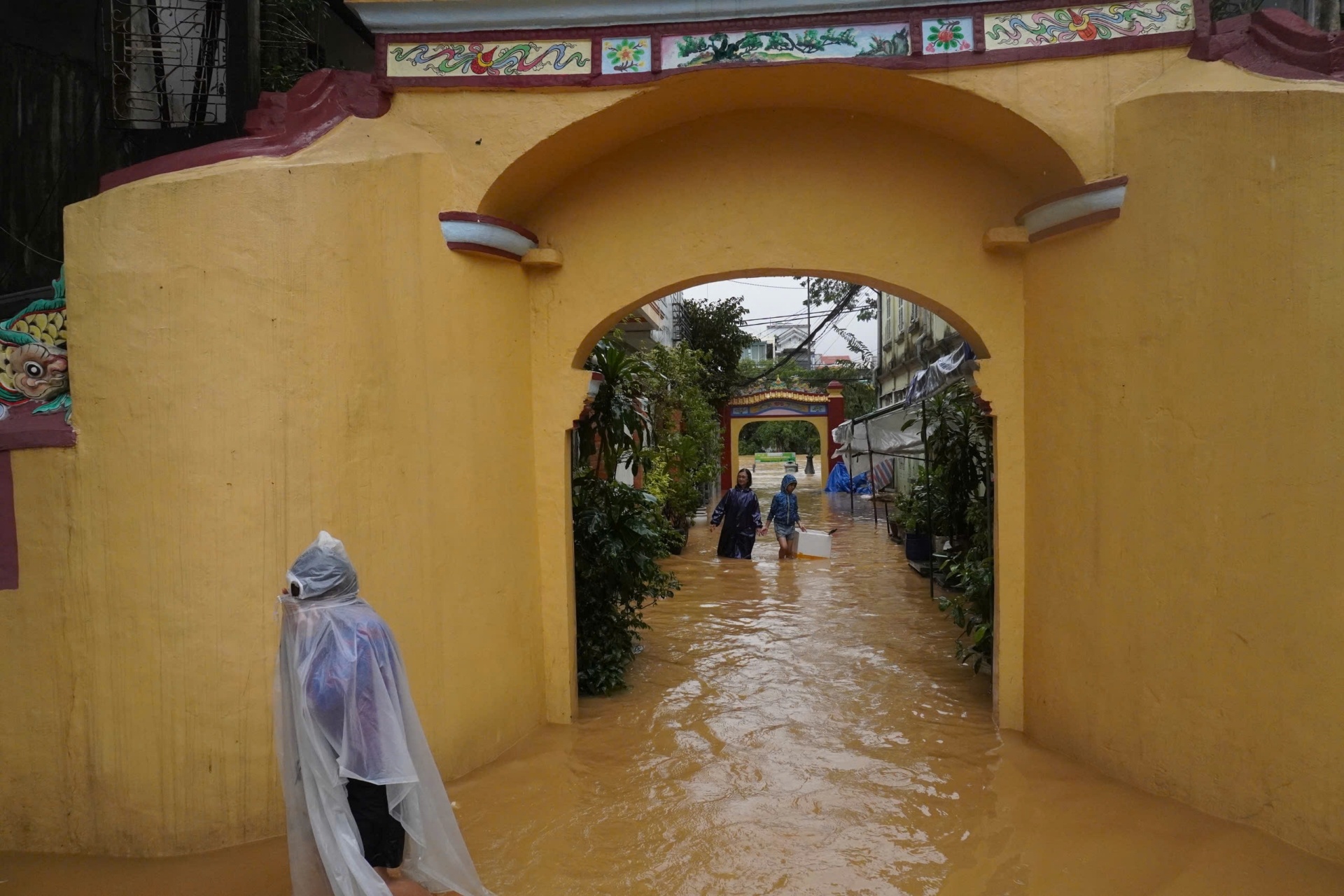 lu chong lu hue anh 10