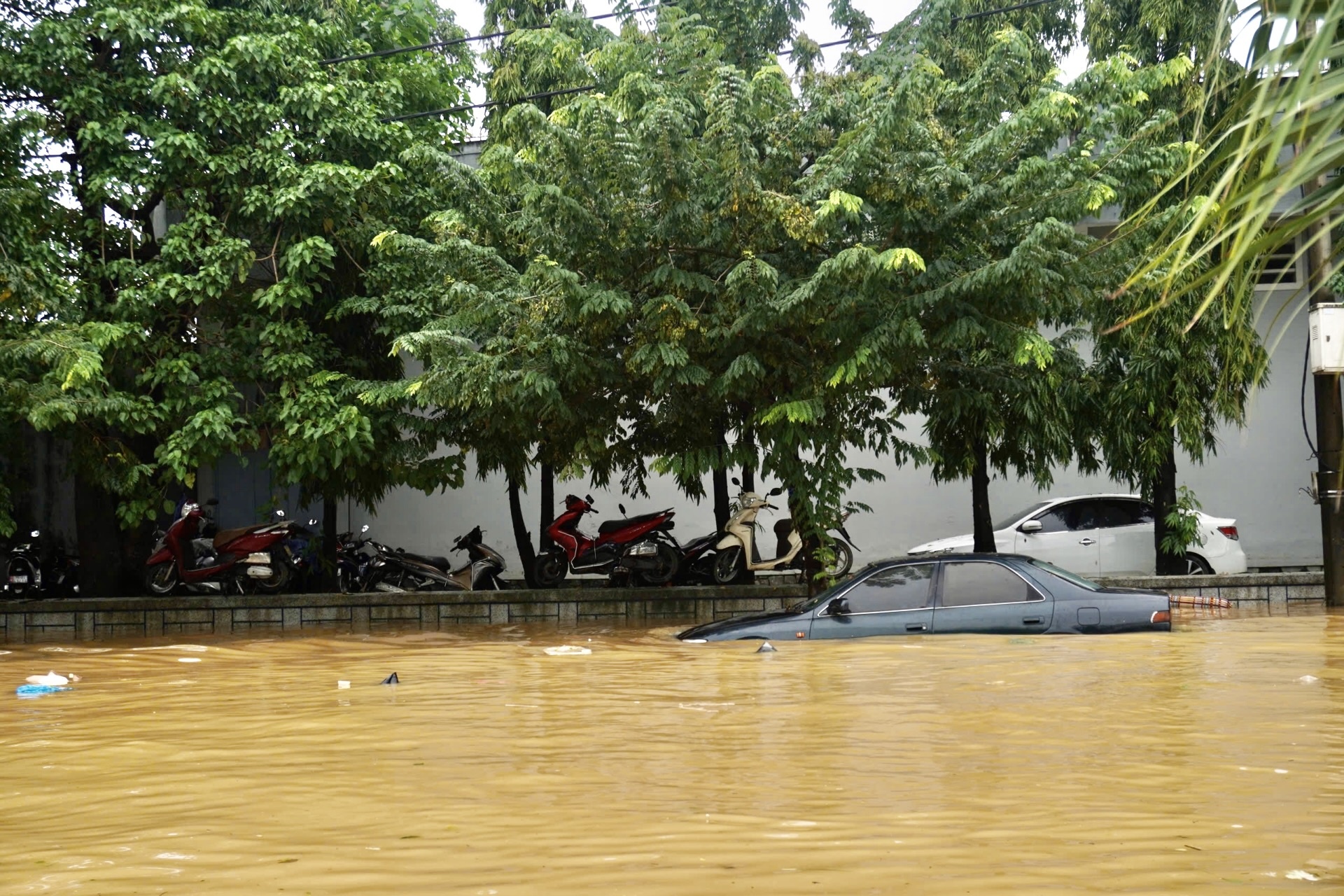 chung cu The Manor hue anh 11