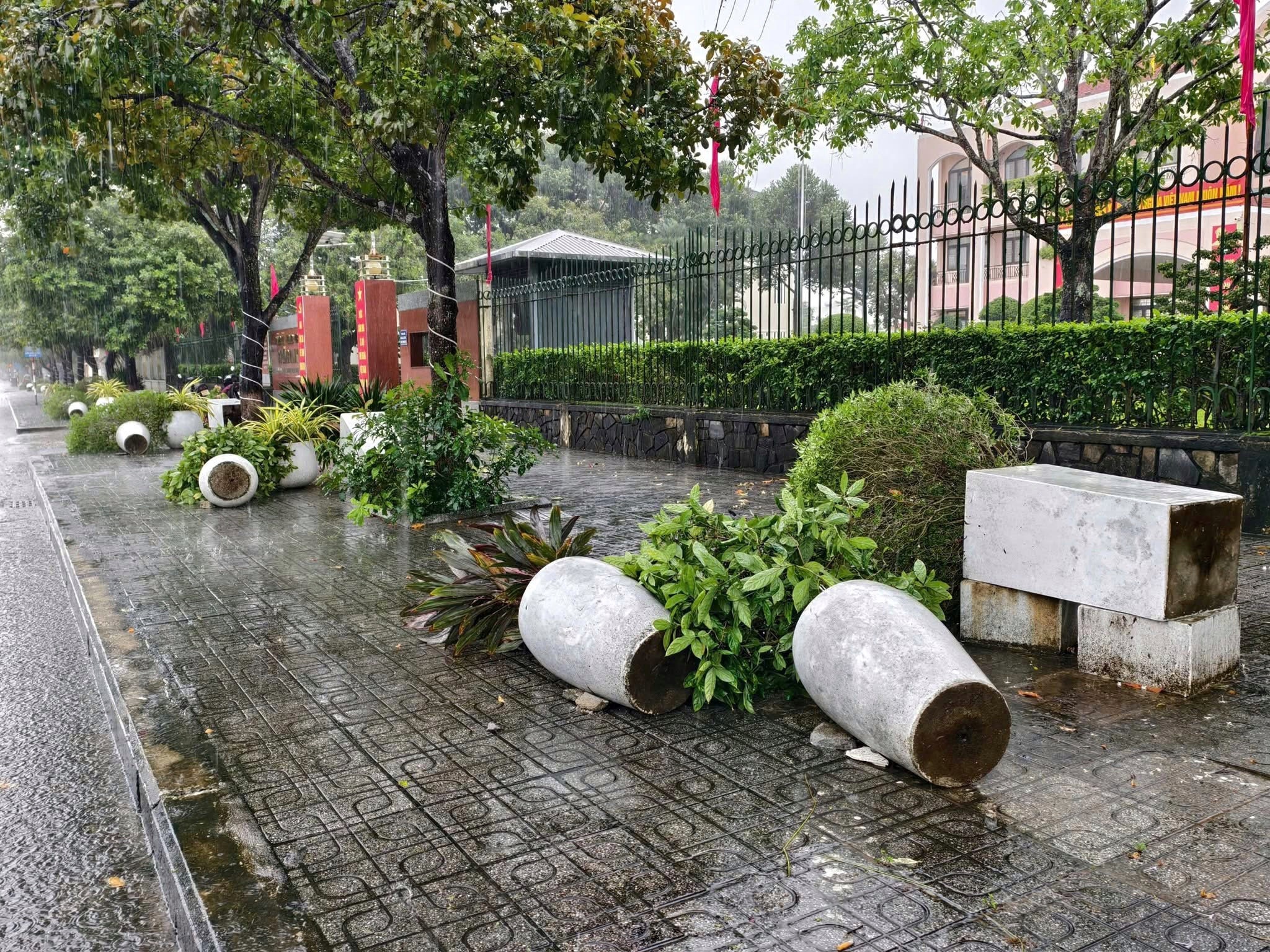 bao Kalmaegi do bo anh 7