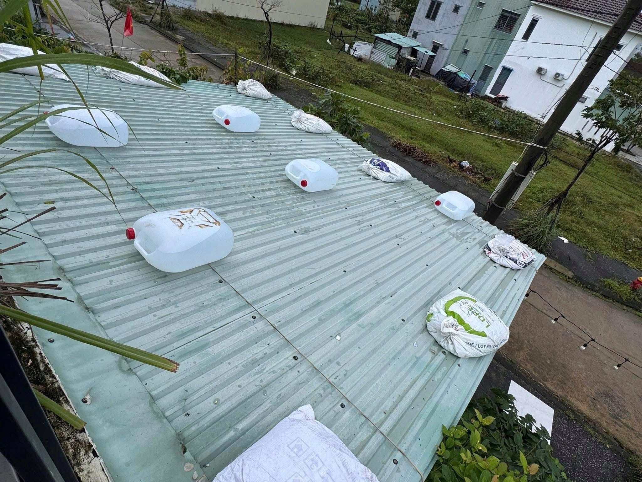 bao Kalmaegi do bo anh 6