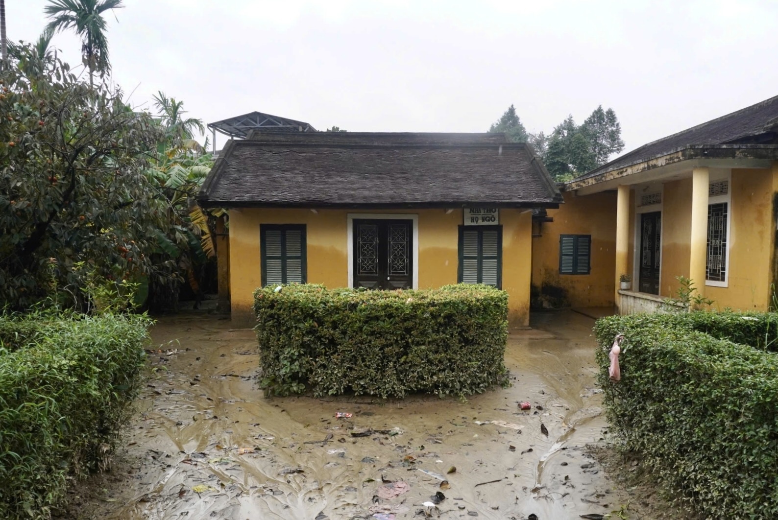 con lu lich su hue anh 9