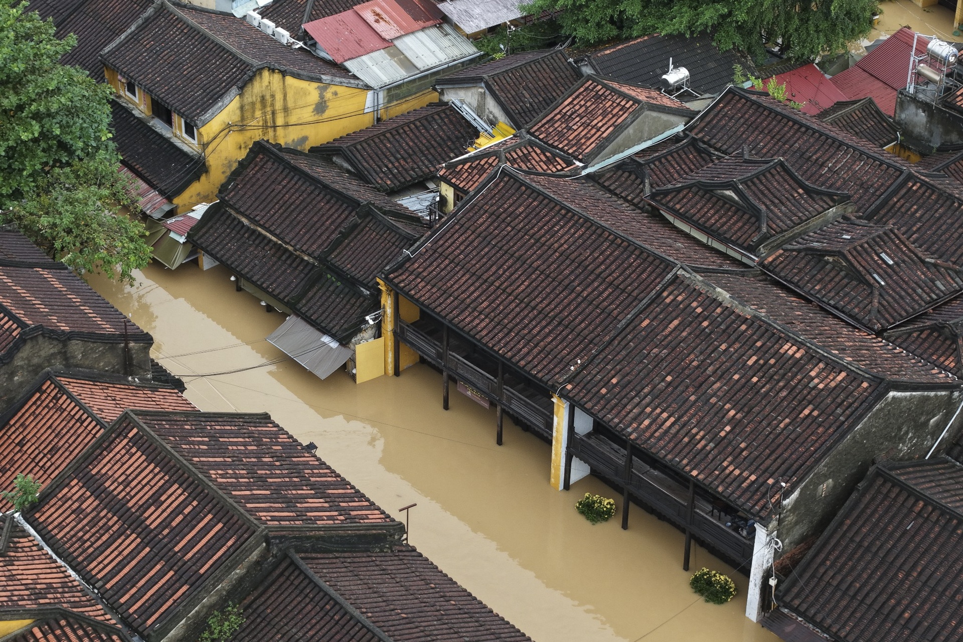 hue sau tran lut anh 21