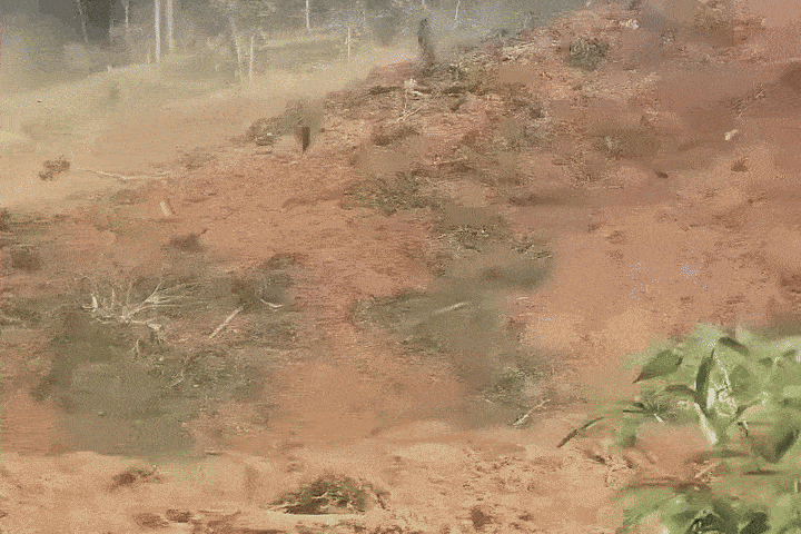 Sap qua doi o Da Nang giua trua nang, nghi vui lap 3 nguoi hinh anh