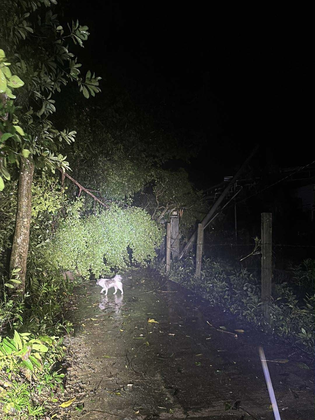 lốc xoáy đà nẵng ảnh 2 loc xoay da nang anh 2