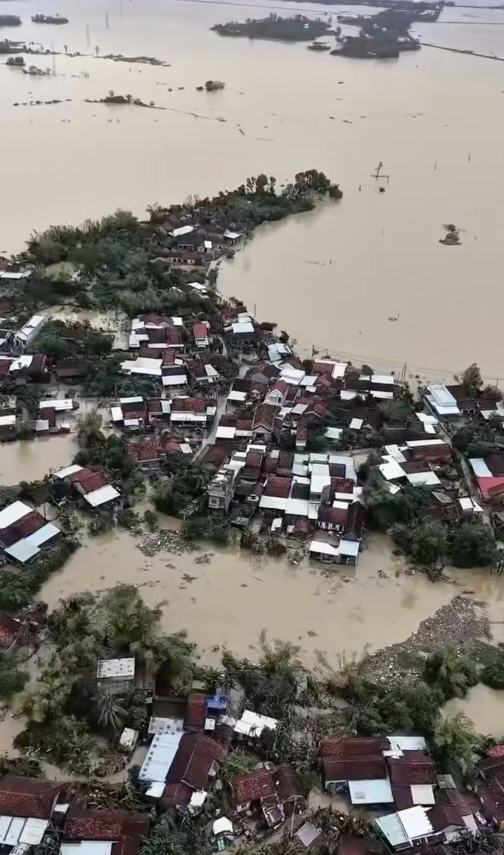 cô lập ảnh 10 co lap anh 10